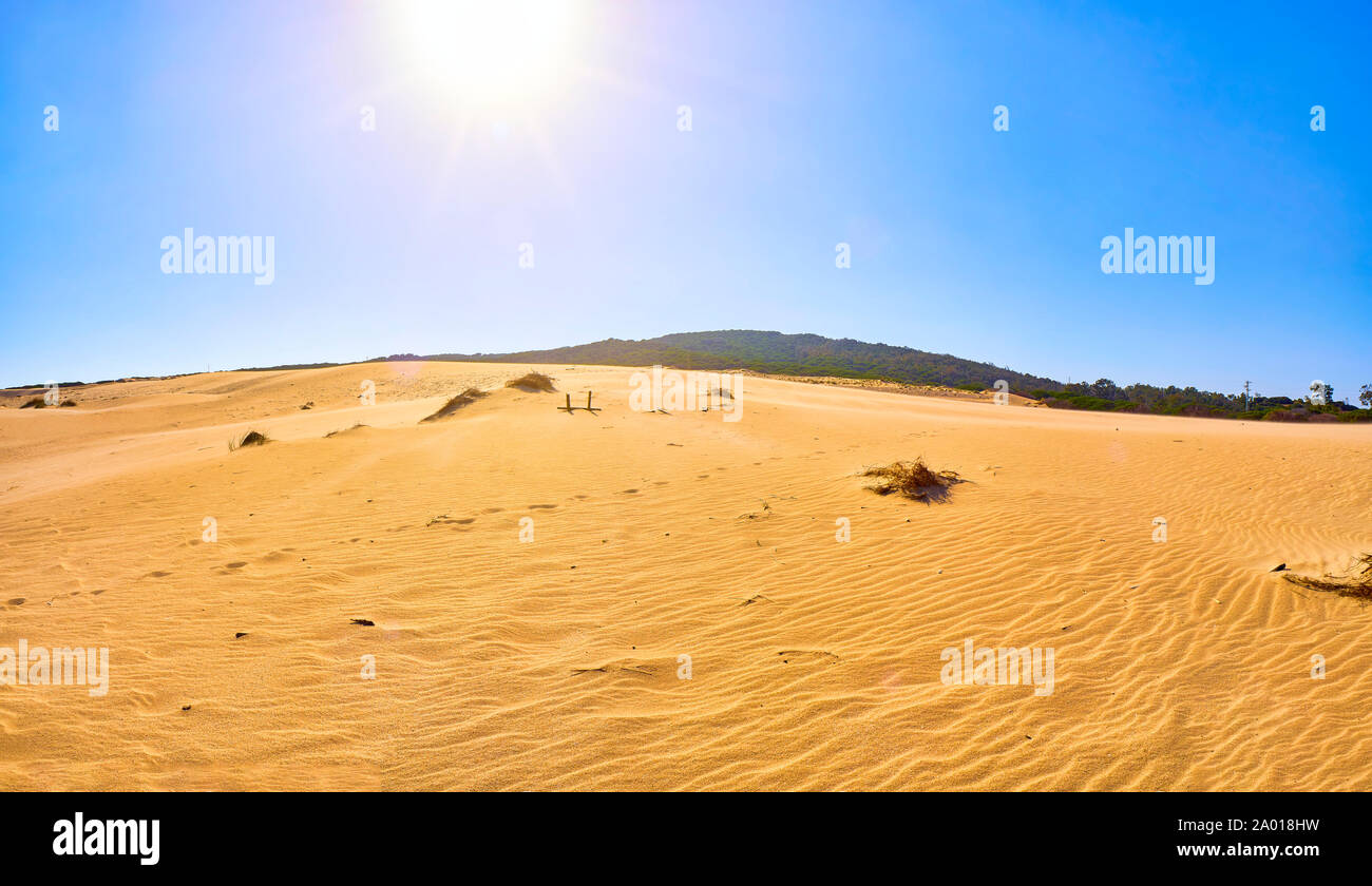 Dune Valdevaqueros, une dune de sable d'El Estrecho Parc Naturel. Tarifa, Cadix. L'Andalousie, espagne. Banque D'Images