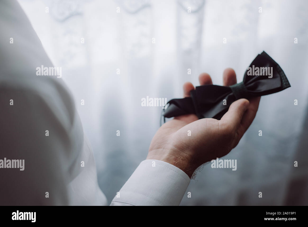 Image horizontale de the butterfly tie entre les mains d'un homme. Détails de mariage. Banque D'Images