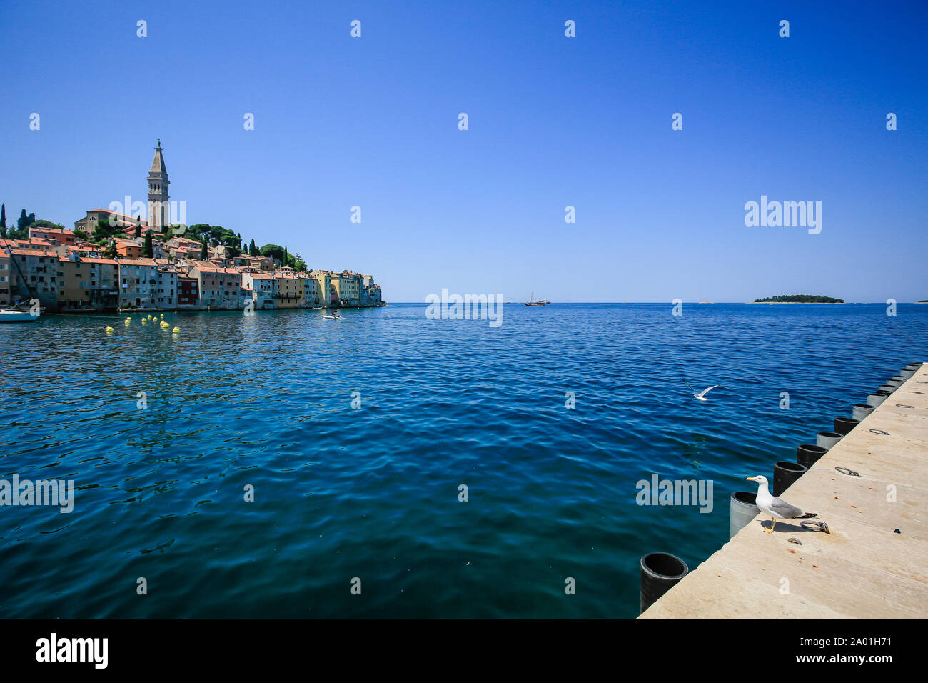 Rovinj, Istrie, Croatie - Rovinj port, vieille ville avec l'église de Sainte-euphémie. Rovinj, l'Istrien, Kroatien - Hafenstadt Rovinj, Altstadt mit Kirche Banque D'Images