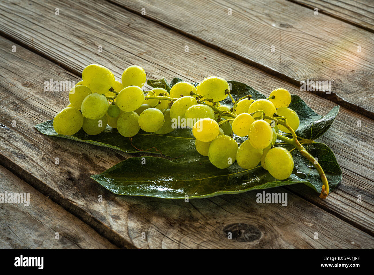 Bouquet de raisins blancs avec de l'eau gouttes Banque D'Images