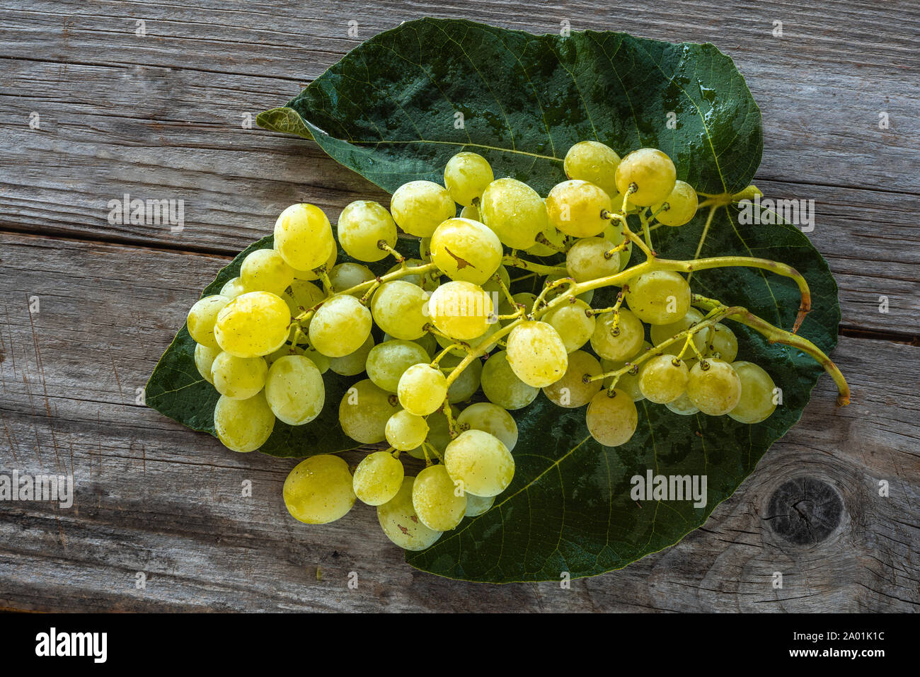 Bouquet de raisins blancs avec de l'eau gouttes Banque D'Images