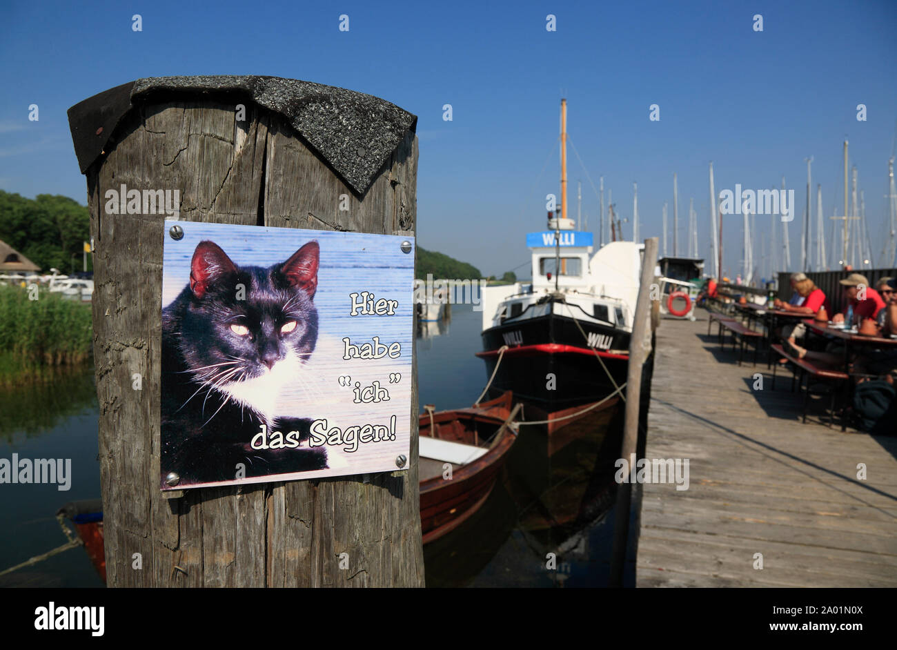 Kloster harbour, signe sur un ponton de bateau de poisson fumé de l'île de Hiddensee, WILLI, mer Baltique, Mecklembourg Poméranie occidentale, l'Allemagne, de l'Europe Banque D'Images