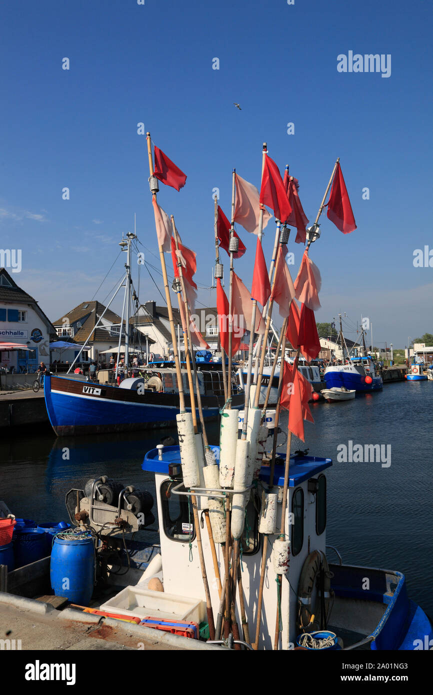 Chalutier poisson à Rostock Harbour, l'île de Hiddensee, mer Baltique, Mecklembourg Poméranie occidentale, l'Allemagne, de l'Europe Banque D'Images