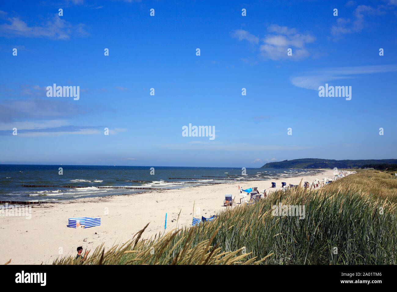 Vitte , plage de la mer Baltique, l'île de Hiddensee, Mecklembourg Poméranie occidentale, l'Allemagne, de l'Europe Banque D'Images