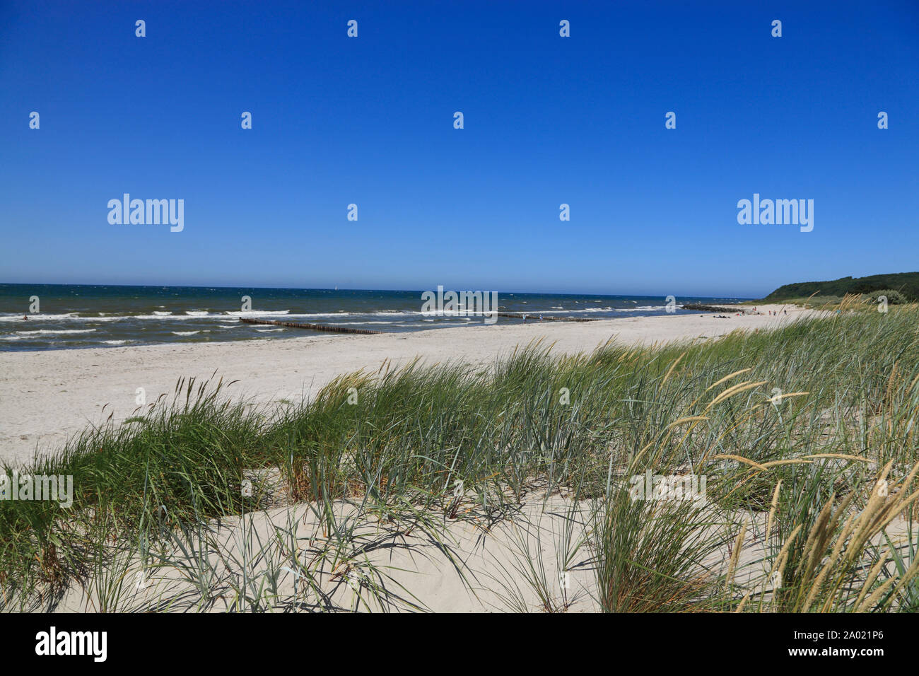 Kloster beach, l'île de Hiddensee, mer Baltique, Mecklembourg Poméranie occidentale, l'Allemagne, de l'Europe Banque D'Images
