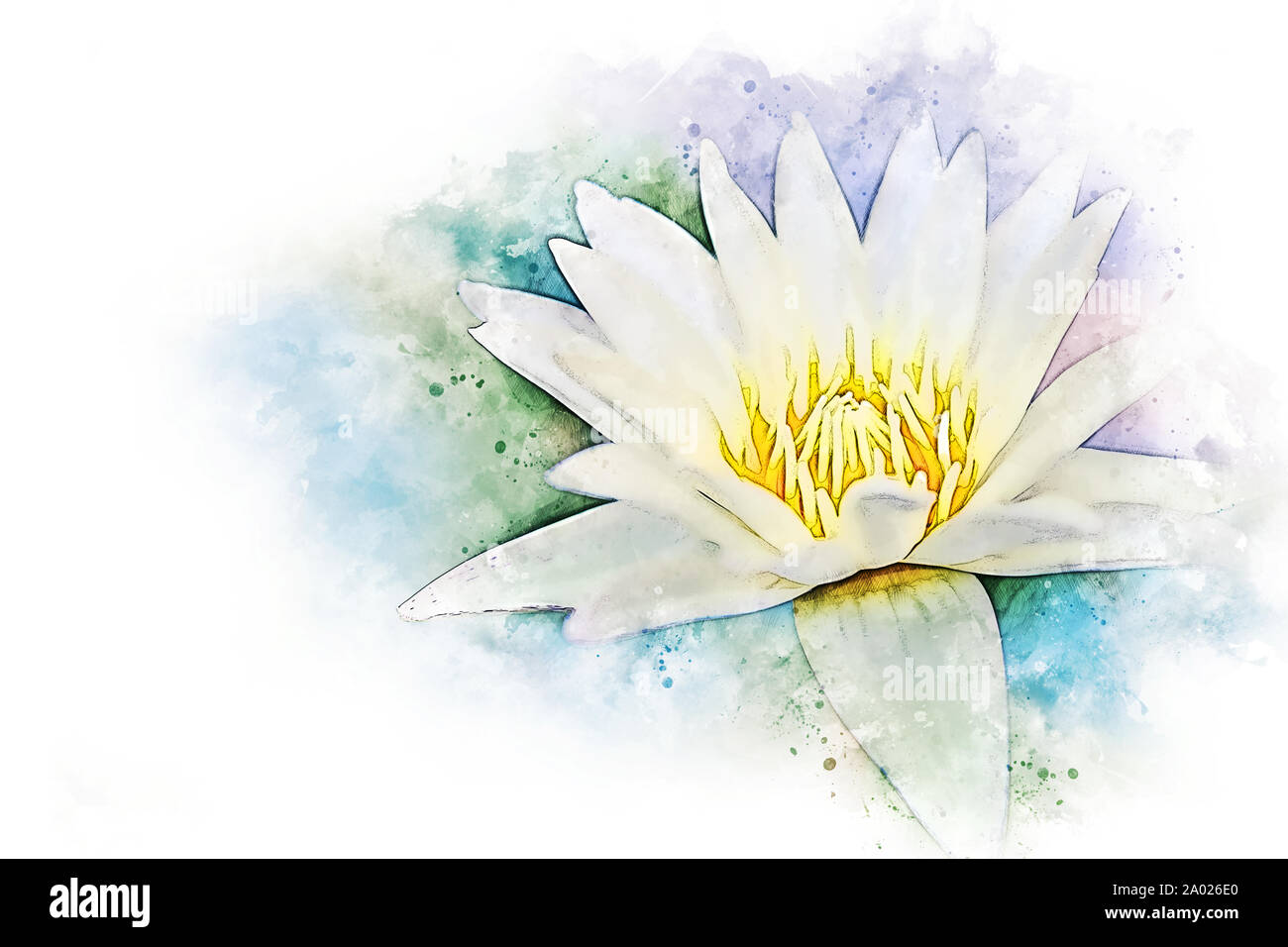 Anglais abstract colorful forme fleur de lotus qui fleurit sur l'illustration à l'aquarelle la peinture de fond. Banque D'Images