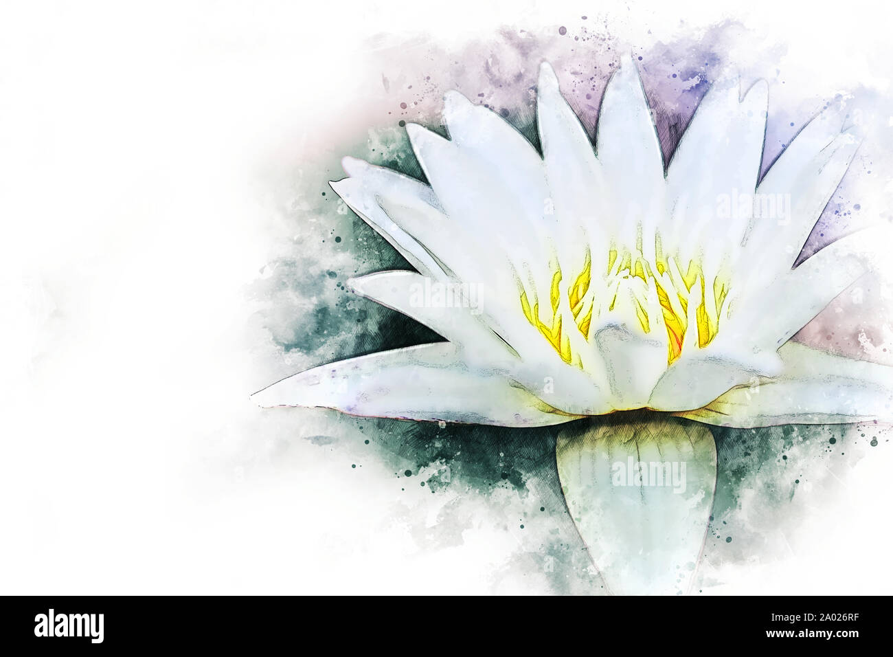 Anglais abstract colorful forme fleur de lotus qui fleurit sur l'illustration à l'aquarelle la peinture de fond. Banque D'Images