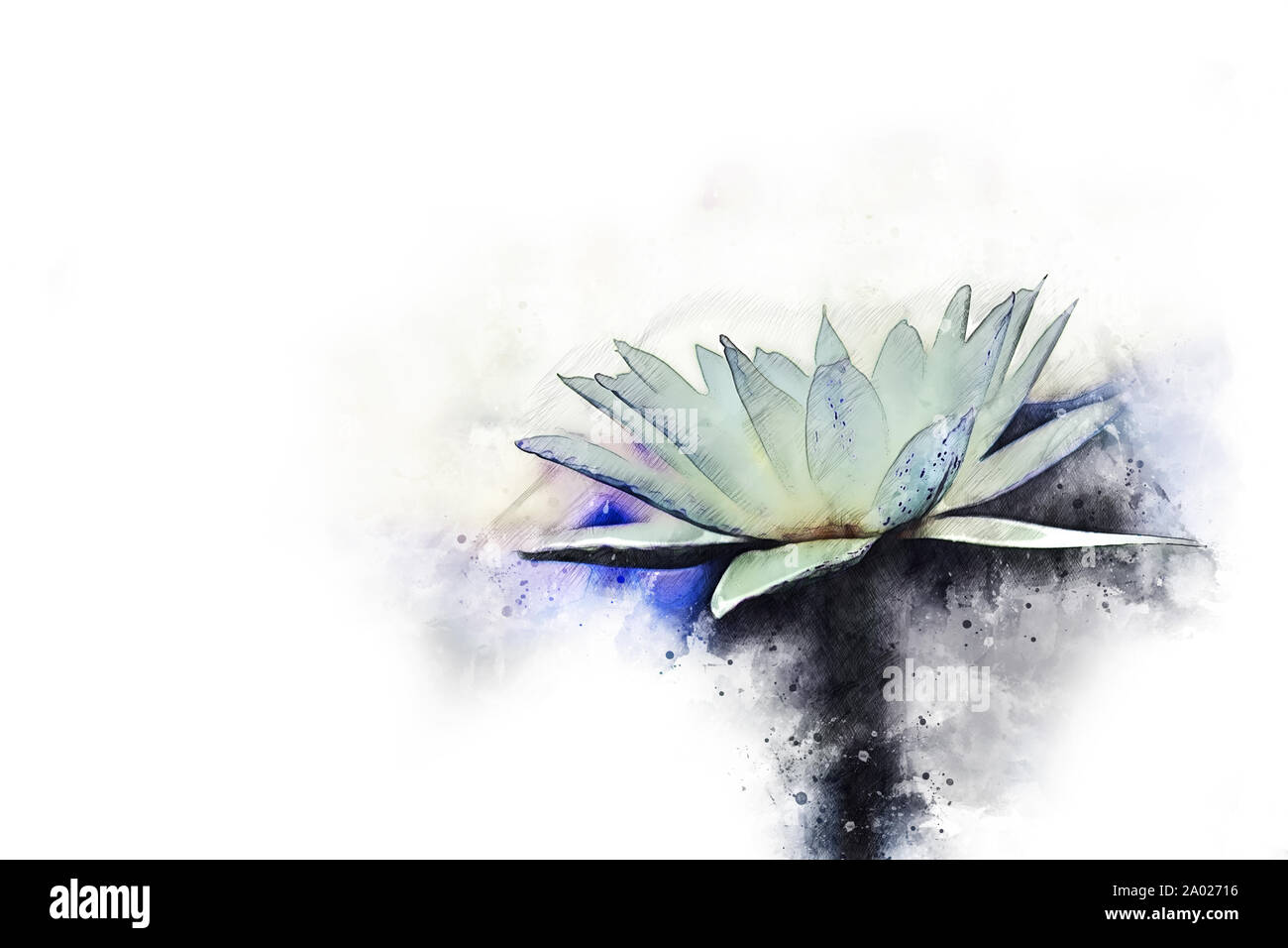 Anglais abstract colorful forme fleur de lotus qui fleurit sur l'illustration à l'aquarelle la peinture de fond. Banque D'Images