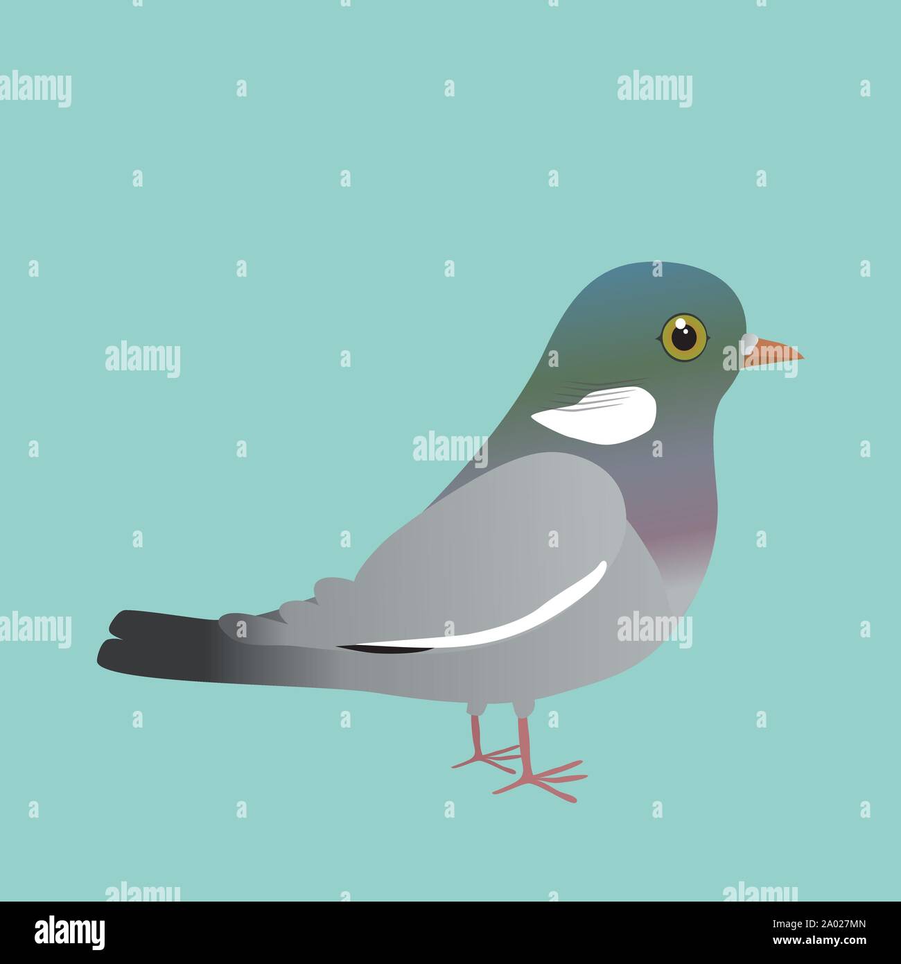 Pigeon ramier commun illustration sur fond bleu Illustration de Vecteur