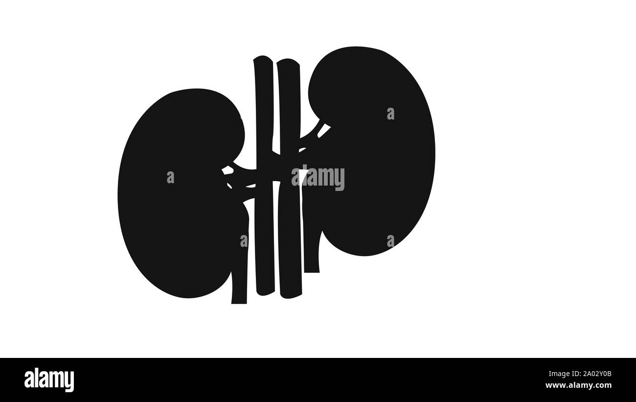 Rein. L'icône de l'anatomie humaine médicale design Banque D'Images