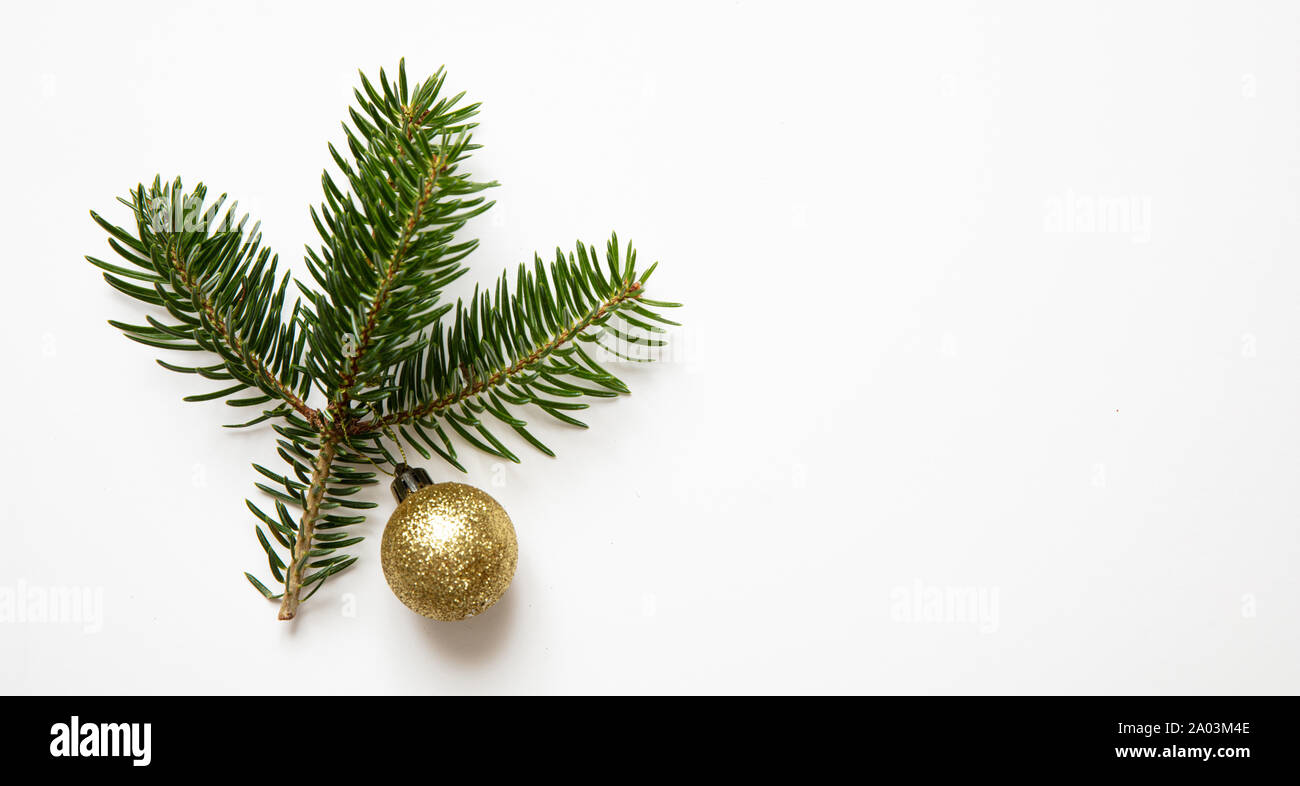 Décoration de Noël. Rameau de sapin frais et gold Christmas ball contre un fond de couleur blanche, copy space Banque D'Images