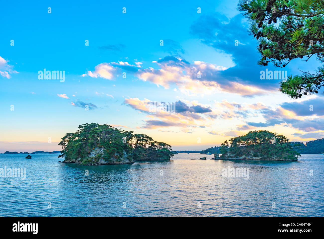 Matsushima Bay dans crépuscule, belles îles couvertes de pins et de roches. L'une des trois vues du Japon Banque D'Images