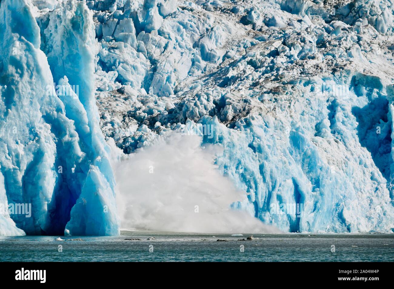 La fissuration de la glace sur le Glacier Nord Sawyer, Glacier Bay, Tracy Arm, Alaska, États-Unis Banque D'Images