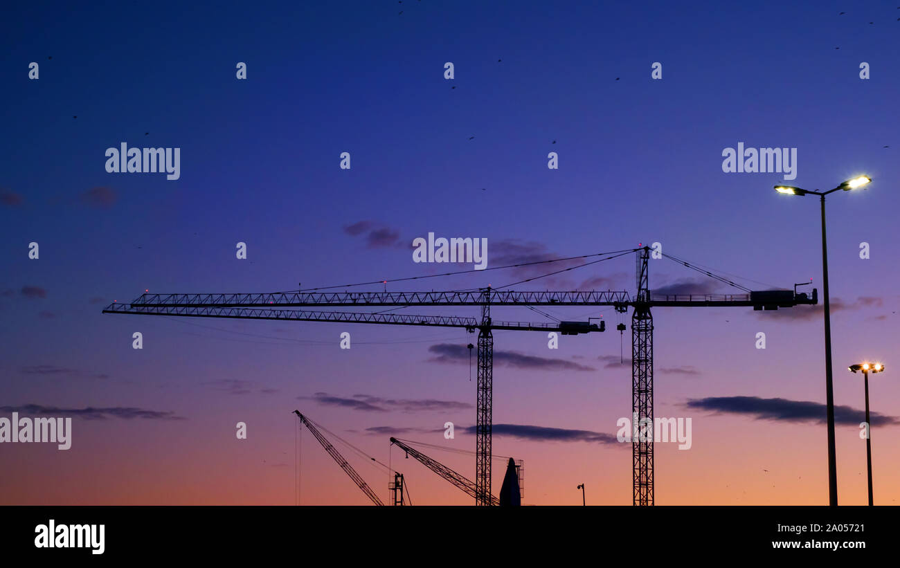 Silhouettes de grues dans le port au coucher du soleil Banque D'Images