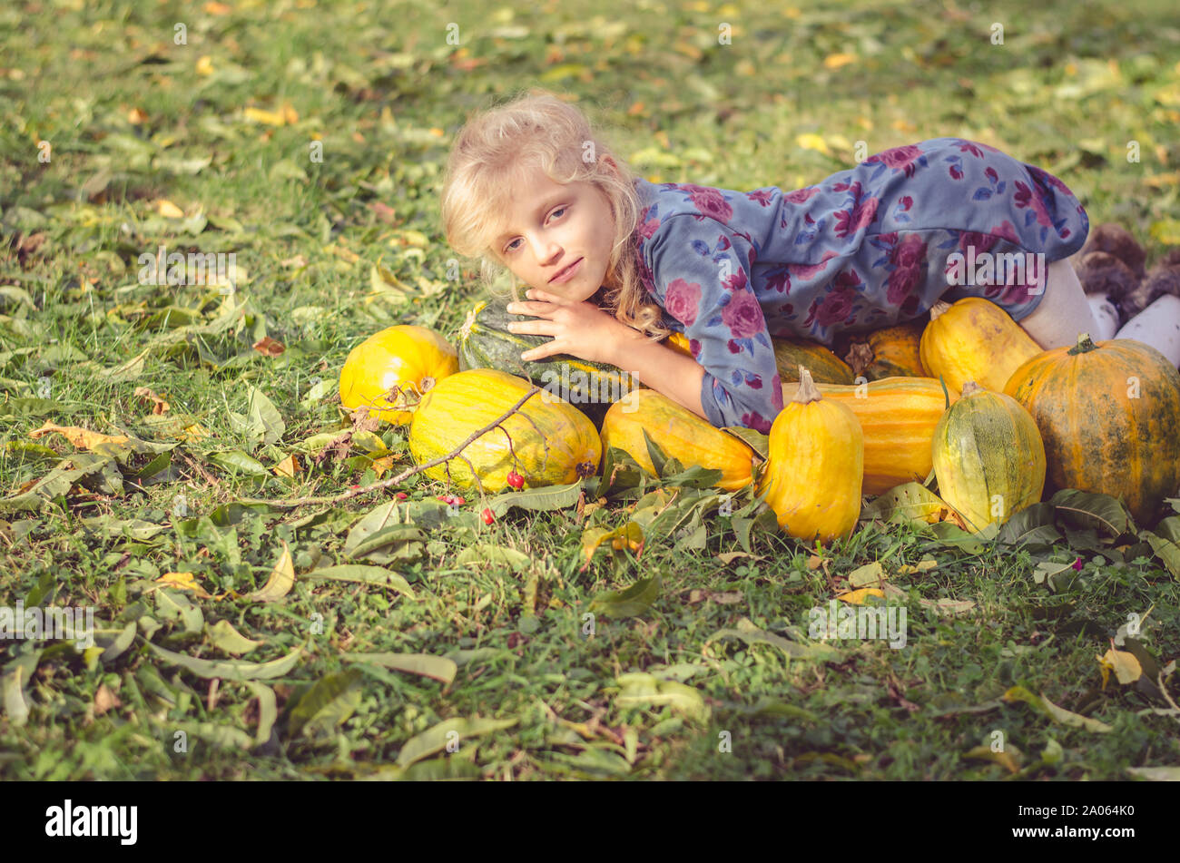 Belle fille blonde avec orange automne citrouilles dans le jardin Banque D'Images