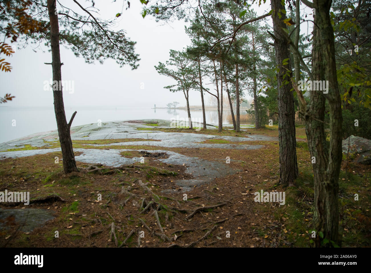 Automne scandinave serein paysage du sud de la Finlande, Helsinki en jour brumeux. Forêt d'automne se reflétant dans l'eau de mer calme. Les feuilles tombées Banque D'Images