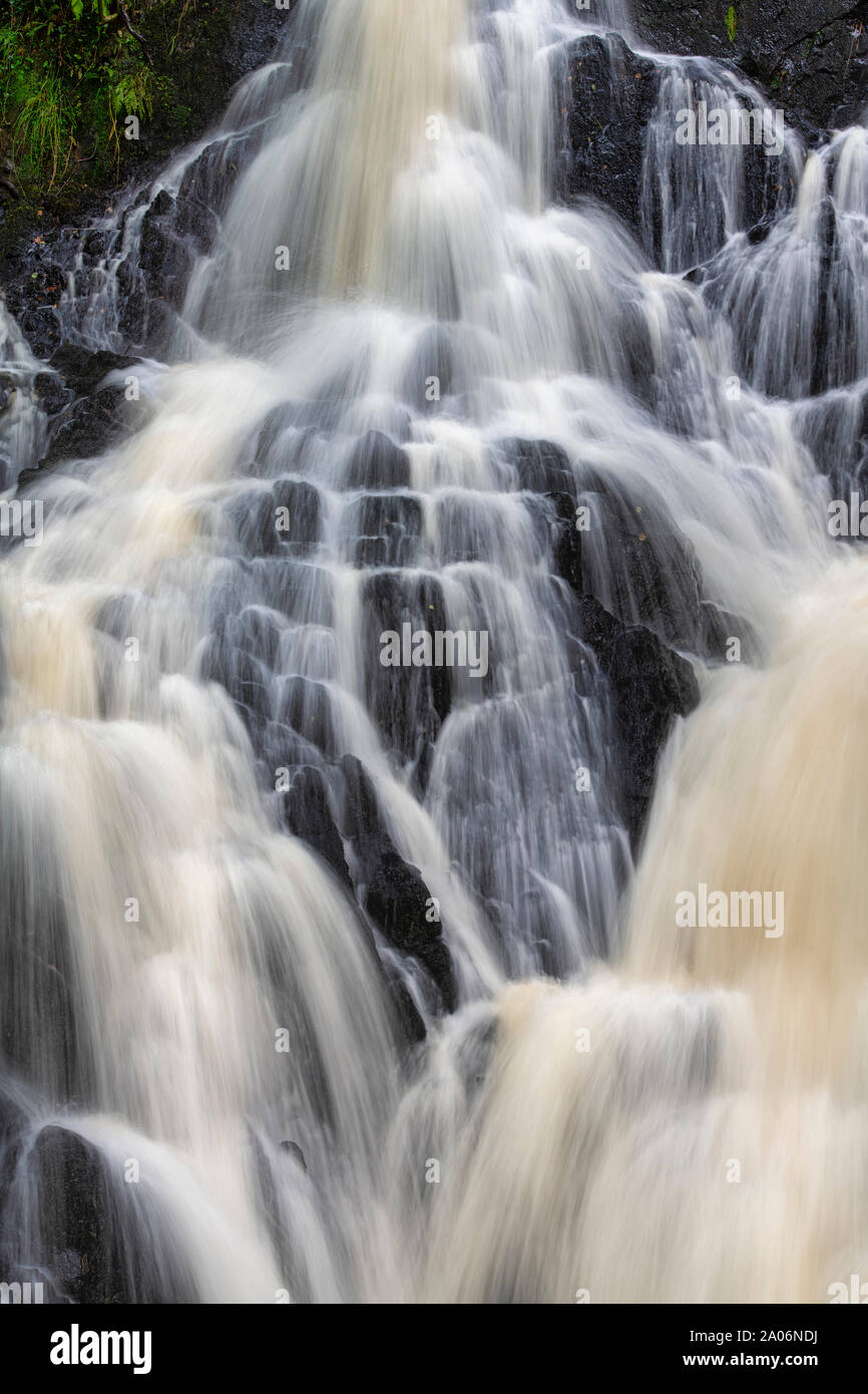 Chutes d'eau du bois de la réserve crie, Newton Stewart, Dumfries et Galloway, Écosse Banque D'Images