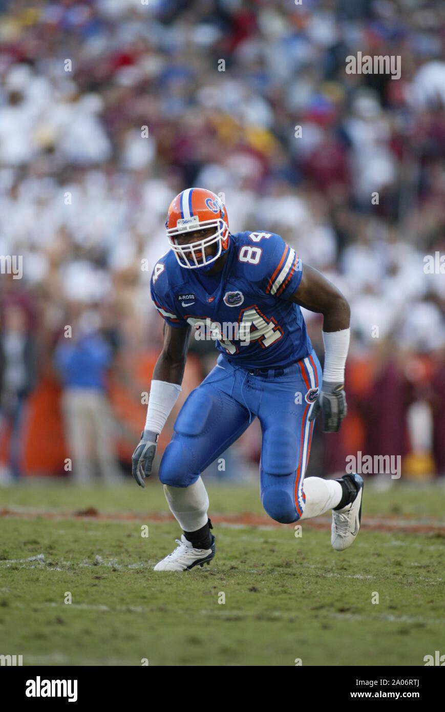 La haute main l'extrémité de la Floride Troupe Ben recherche un bloc comme il se détache de la ligne lors de l'Seminole 38-34 victoire sur le Gator Samedi, 29 novembre 2003, à Ben Hill Griffin Stadium à Gainesville, en Floride. Banque D'Images