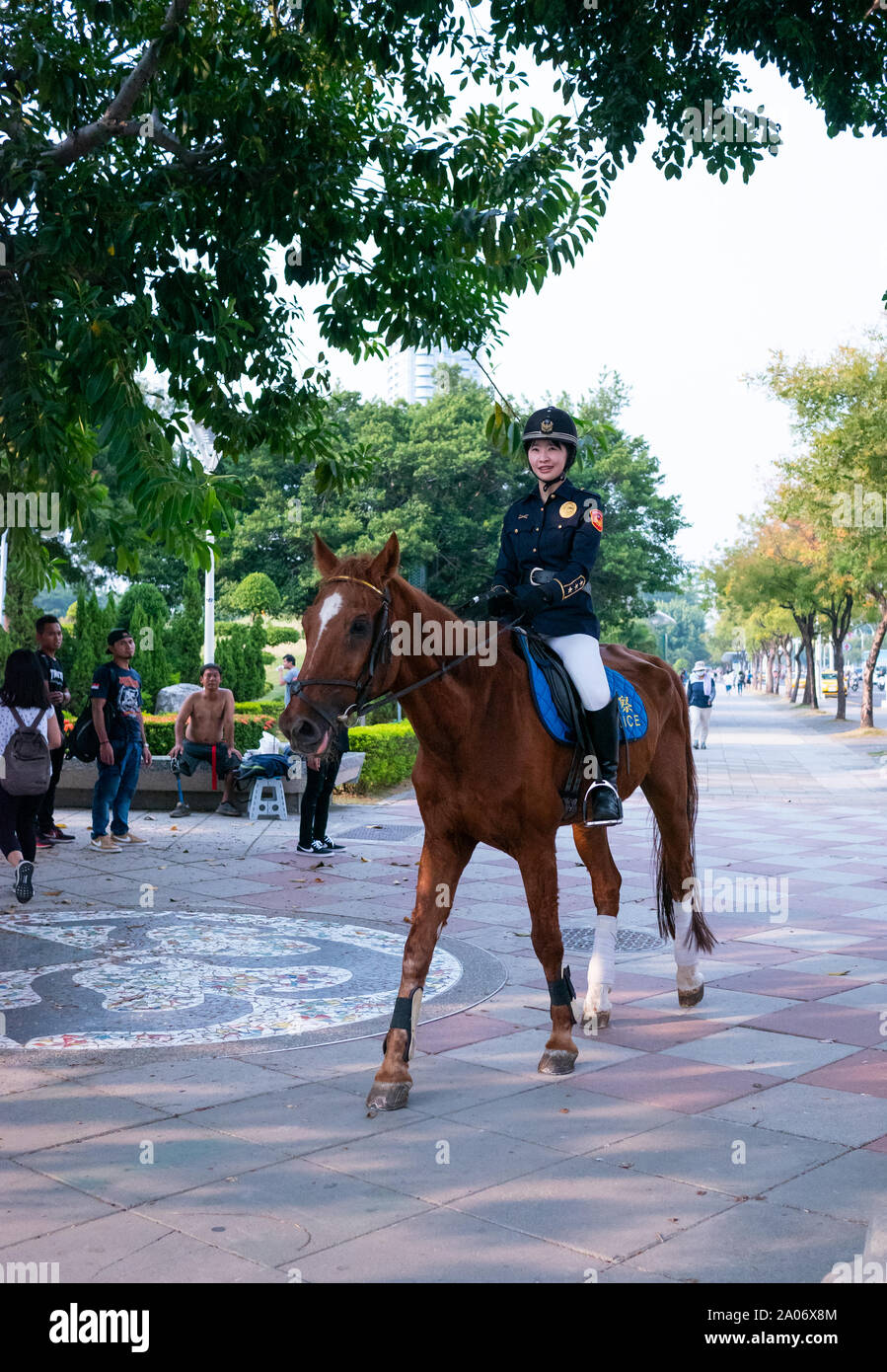 Taiwanais canada. Police Woman / femme agent de police à cheval cheval brun. Banque D'Images