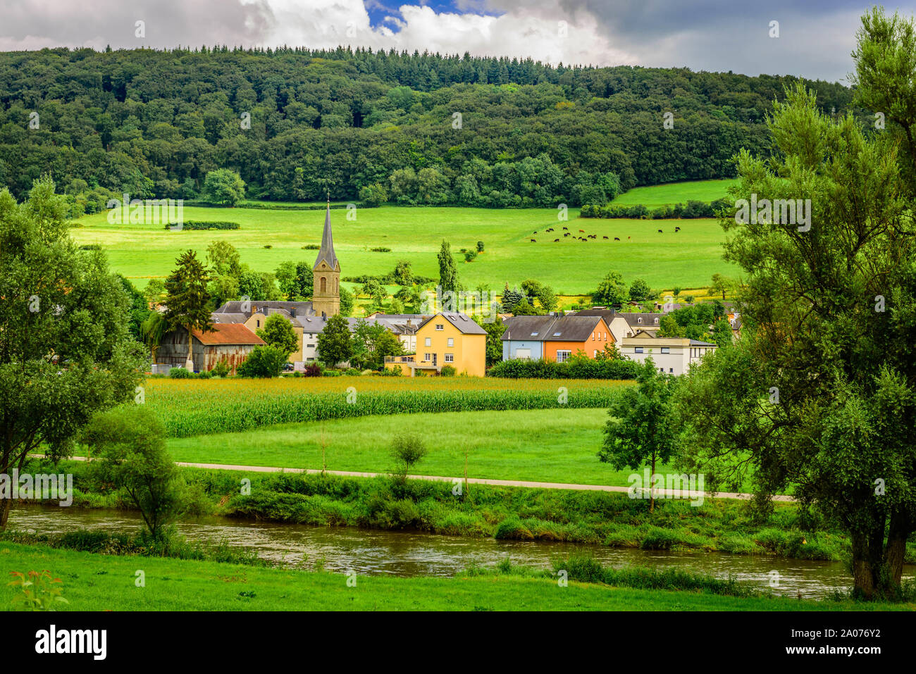 Journée d'été, paysage près de Diekirch, Luxembourg Banque D'Images