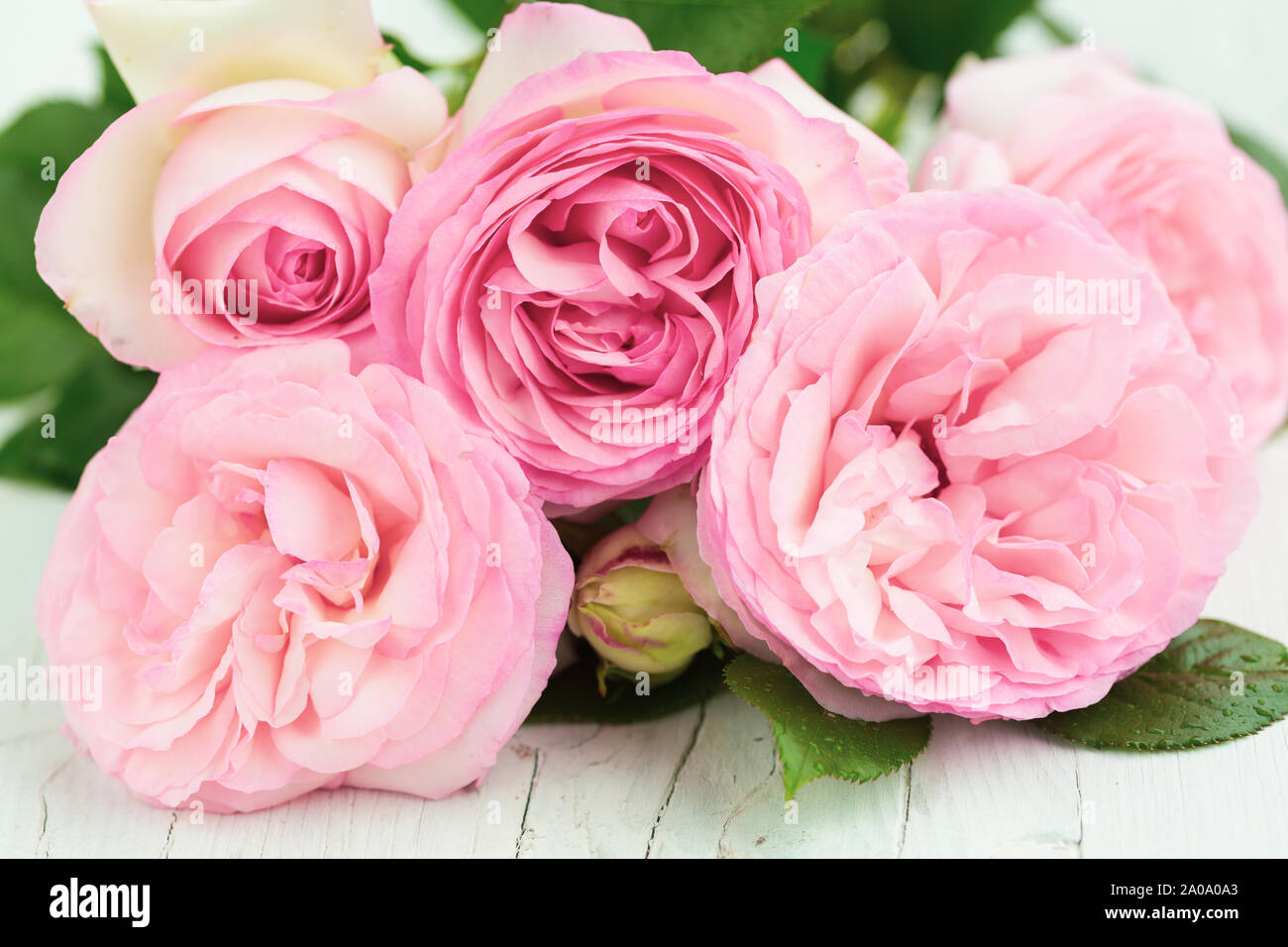 Bouquet de roses roses sur la table Banque D'Images