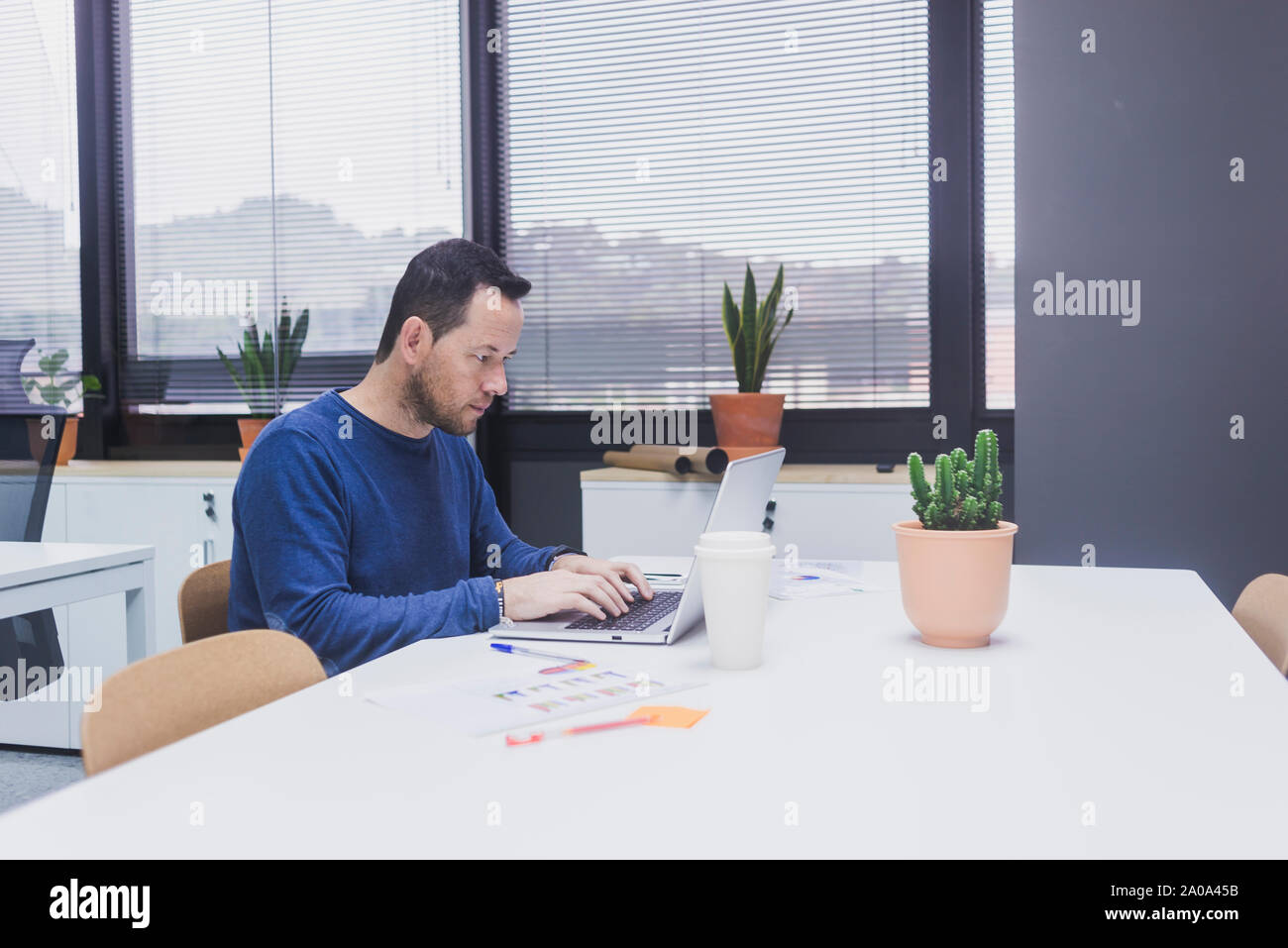 Bearded Man working on laptop in office Banque D'Images