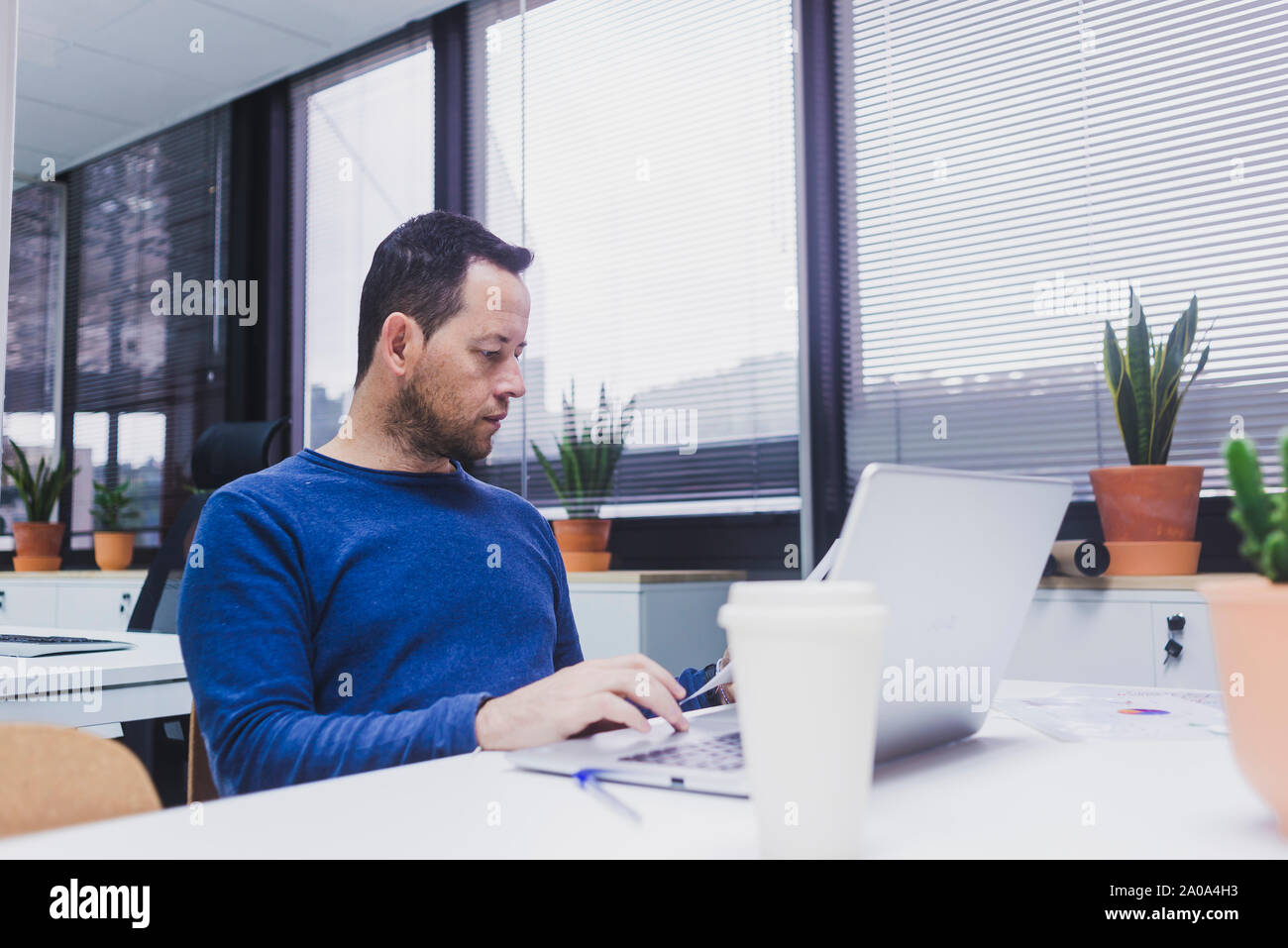 Bearded Man working on laptop in office Banque D'Images