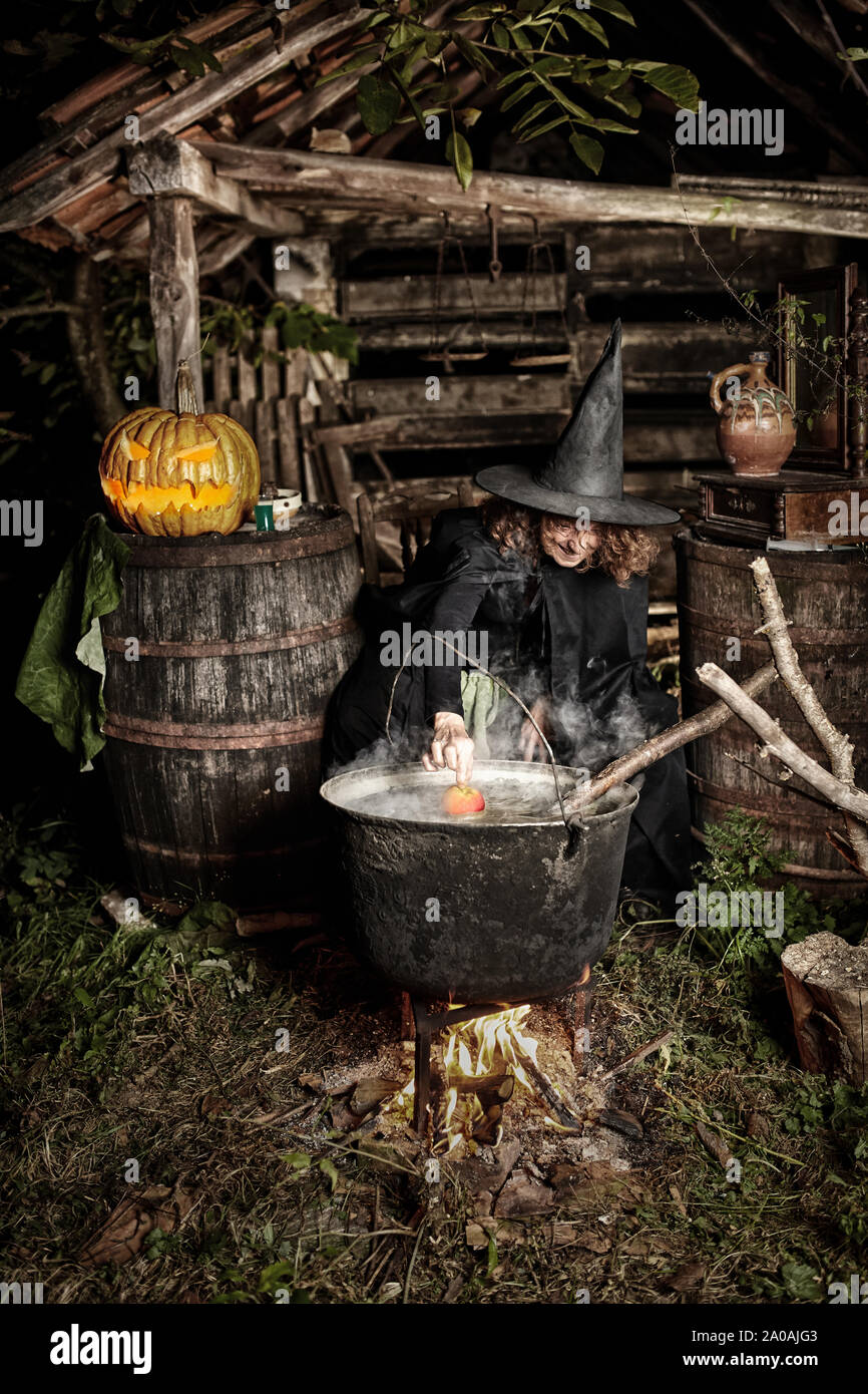 Vieille sorcière potion mortelle de brassage pour l'Halloween dans un pot en fonte Banque D'Images