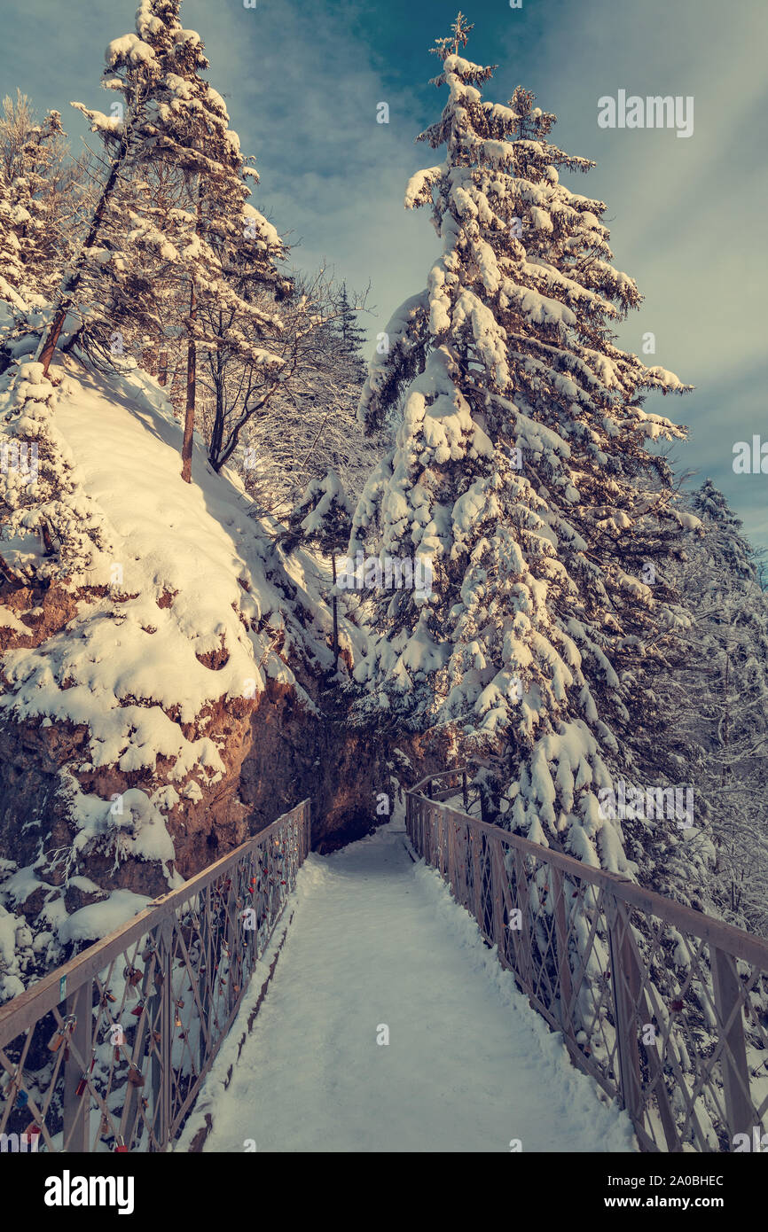 Pont Marie, le château de Neuschwanstein en hiver, de l'Allemagne. Banque D'Images