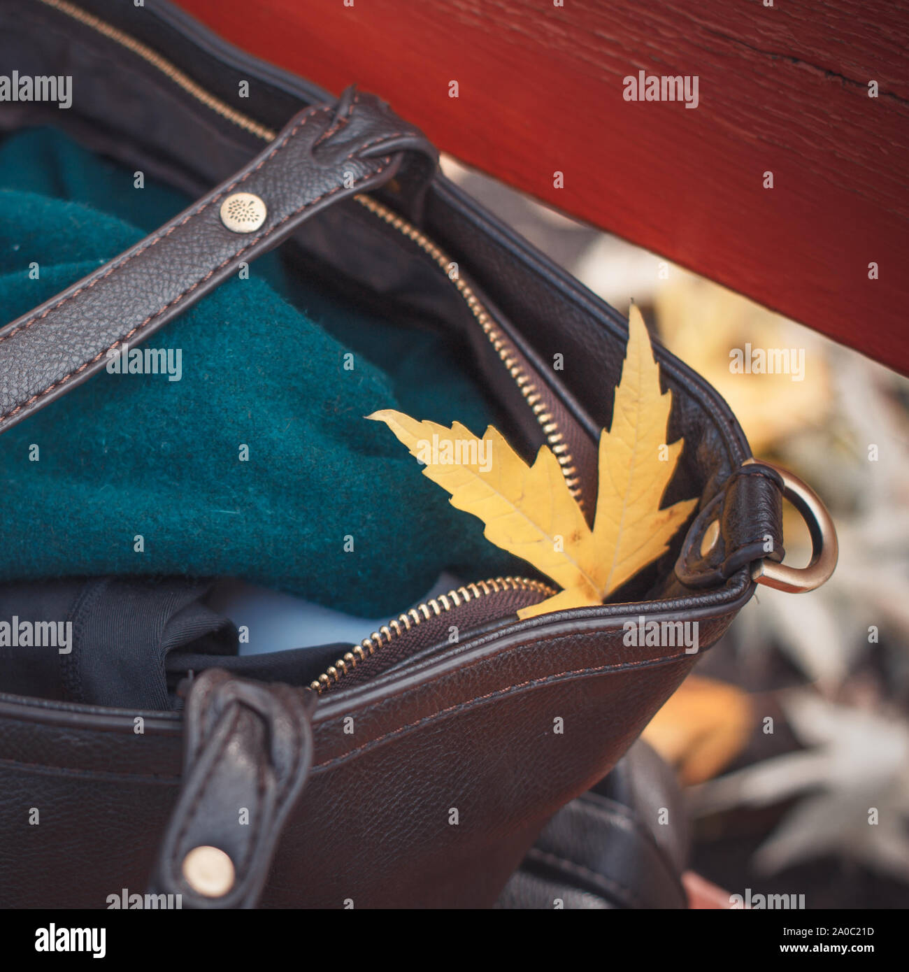 Feuille d'érable jaune sur le sac en parc. Couleurs rétro. L'arrivée de l'automne. Banque D'Images Feuille d'érable jaune sur le sac en parc. Couleurs rétro. L'arrivée de l'automne. Banque D'Images
