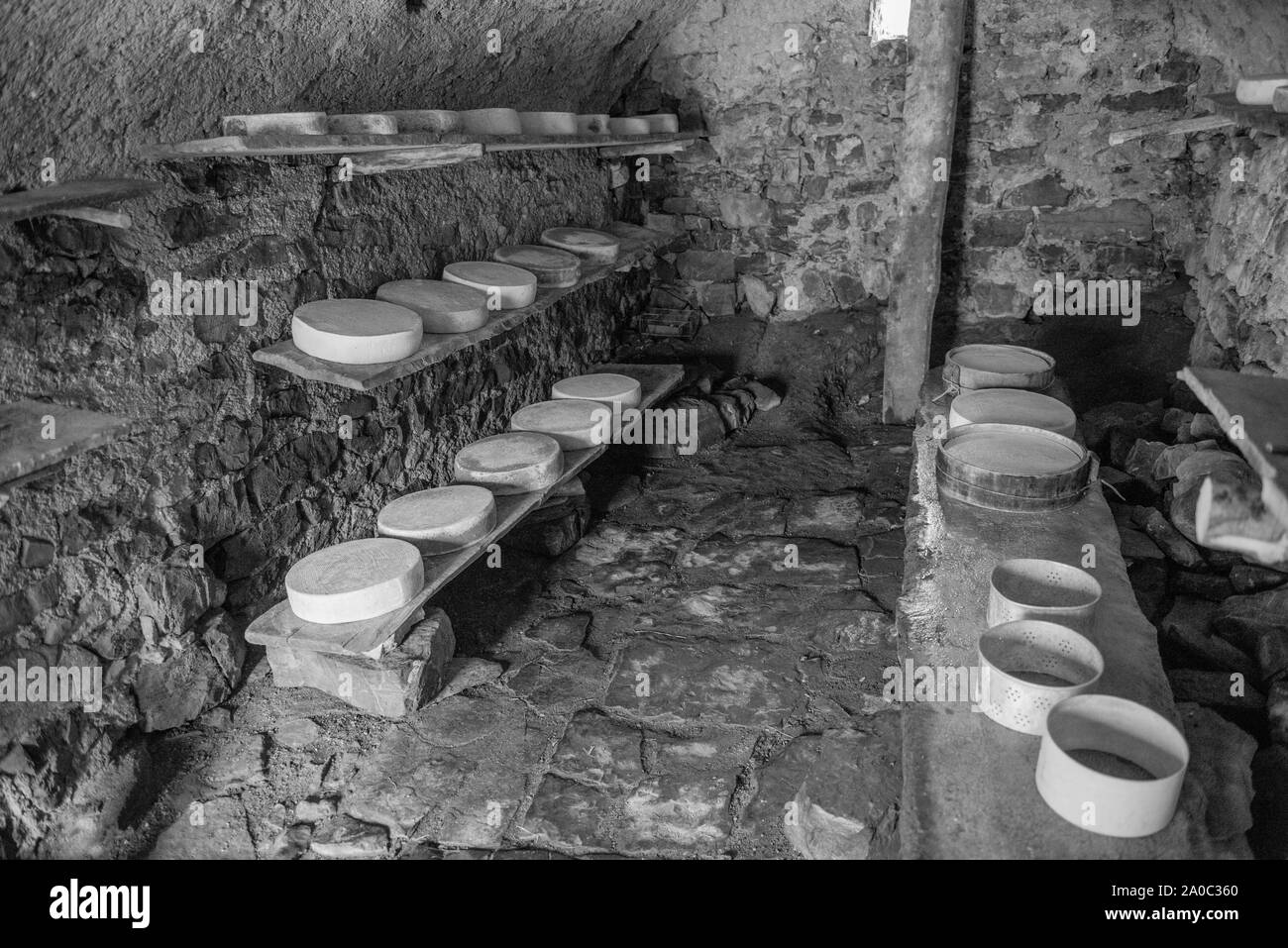 Fromage sur l'alpage, alors que c'est l'élevage sur la ferme Banque D'Images