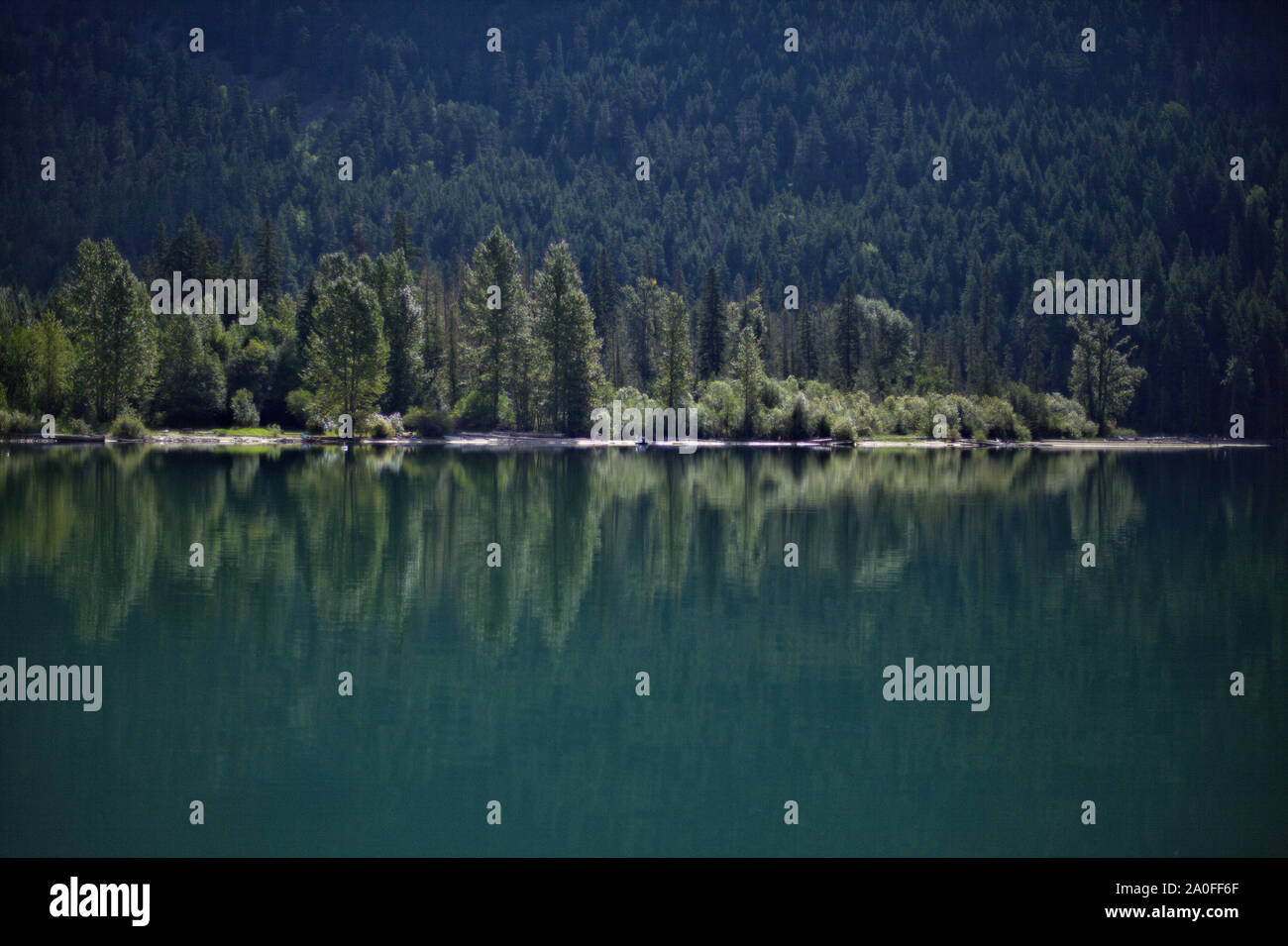 Les conifères d'été vert paysage de Birkenhead Lake beach se reflétant dans l'eau vert sombre, éclairé par la lumière du midi, en C.-B., Canada Banque D'Images