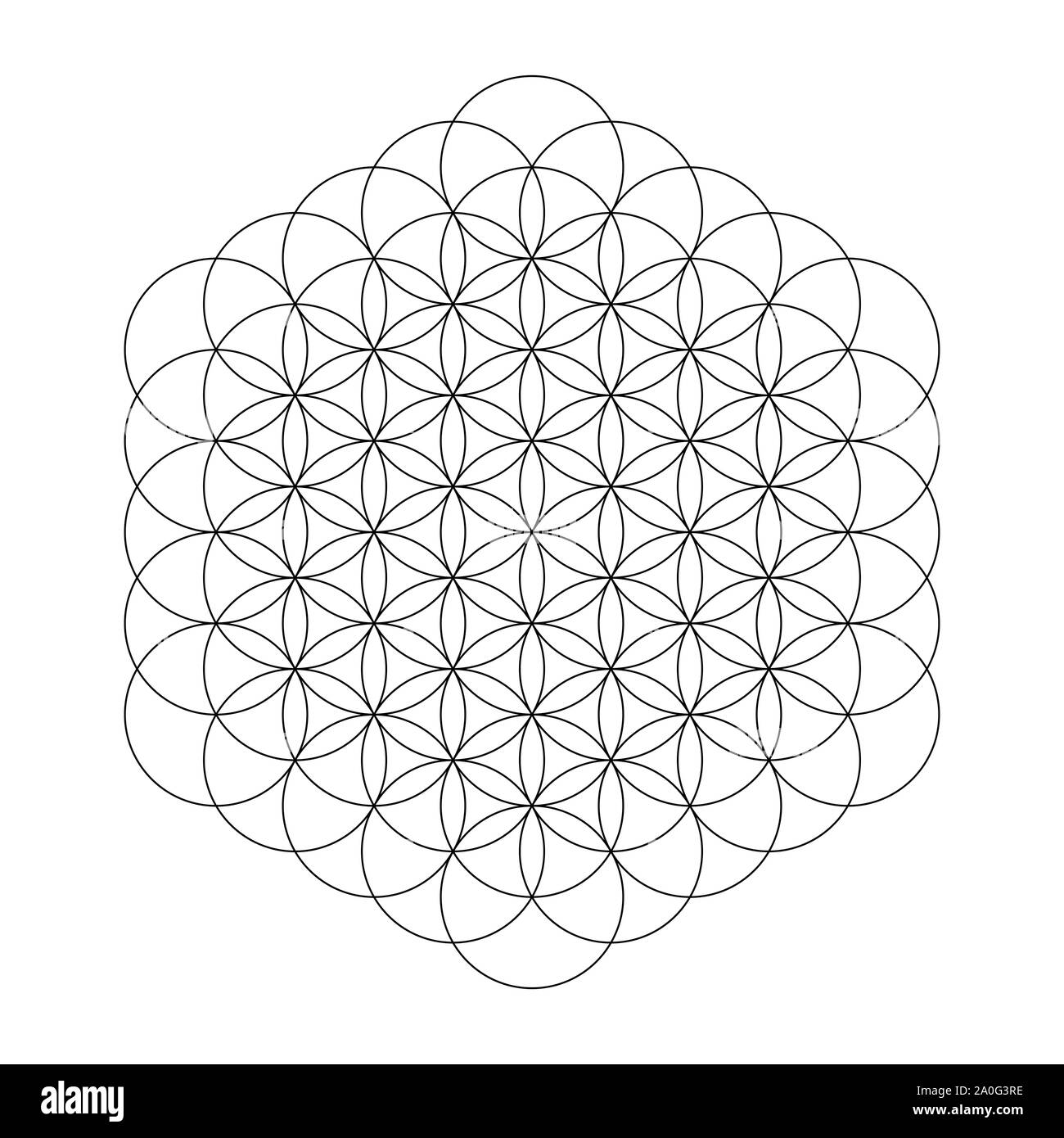 Fleur de vie Banque D'Images