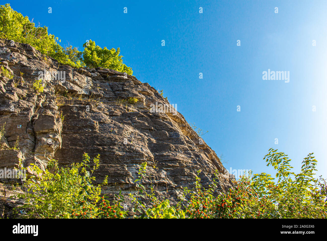 Le bord d'une falaise rocheuse vue de dessous, avec des treetops au fond et d'autres feuilles vertes sur le dessus. Banque D'Images
