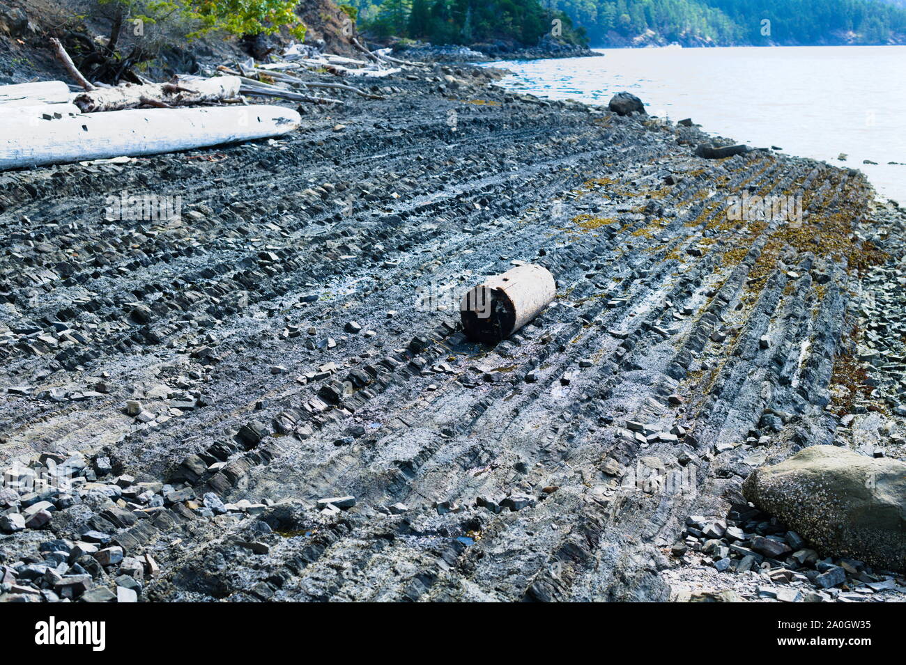 Couches de roches sédimentaires visibles sur la plage de North Pender Island, Colombie-Britannique, Canada Banque D'Images