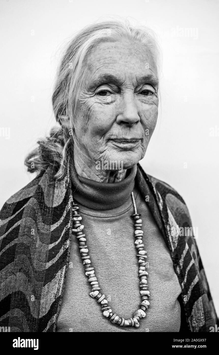 Jane Goodall, la célèbre primatologue, éthologue et anthropologiste, messager de la paix de l'ONU, considéré comme le principal expert sur les chimpanzés Banque D'Images