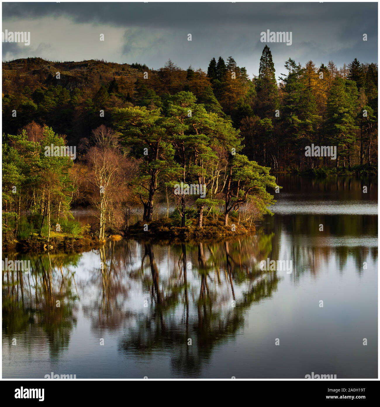 Tarn Hows Parc national de Lake District Cumbria. La photographie a été prise à l'automne montrant le lac, arbres et montagnes enneigées. Banque D'Images