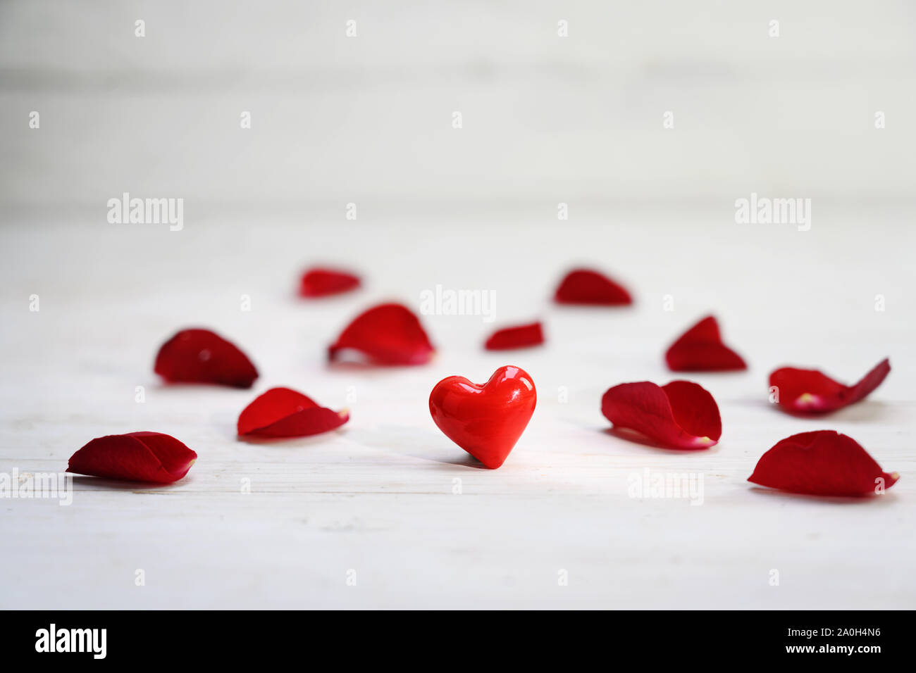 Coeur en verre rouge entre des pétales de rose sur un fond de bois gris clair, l'amour concept avec copie espace étroit, de mise au point sélectionnée, la profondeur de champ Banque D'Images