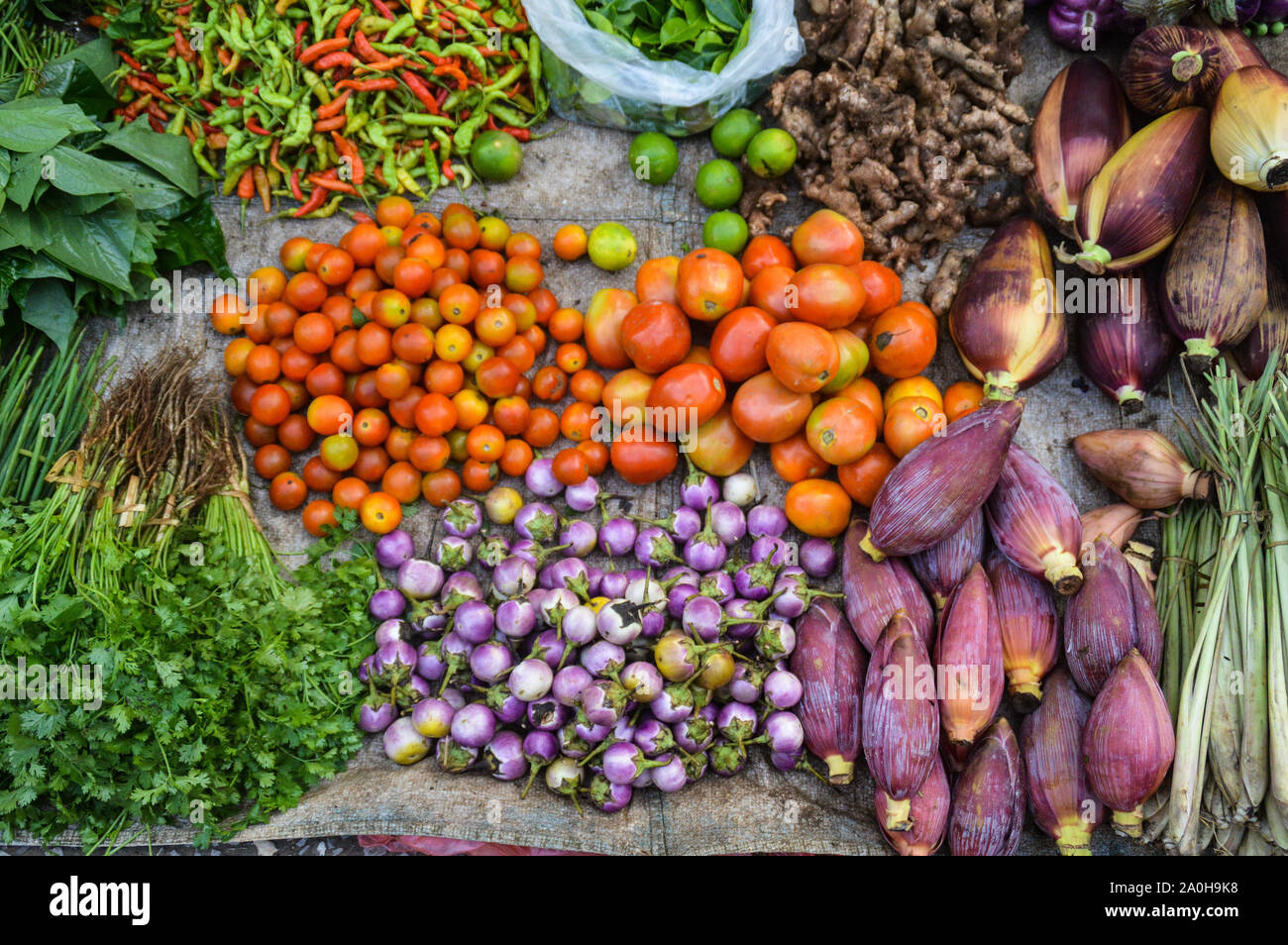 Produits frais bio légumes locaux vendus dans le célèbre marché du matin de Luang Prabang au Laos Banque D'Images