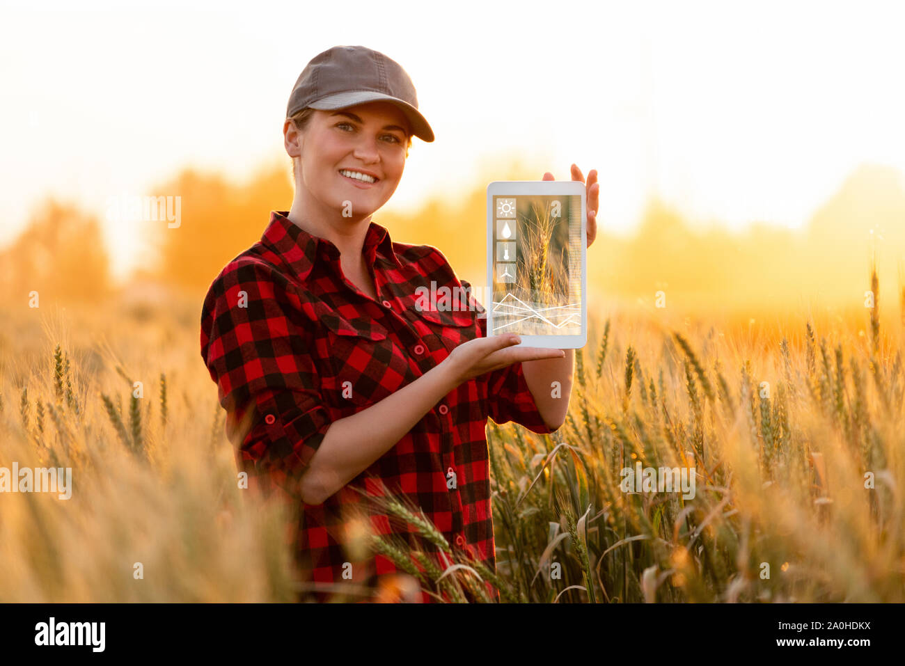 Farmer est holding a tablet. L'agriculture et de l'agriculture intelligente numérique concept Banque D'Images