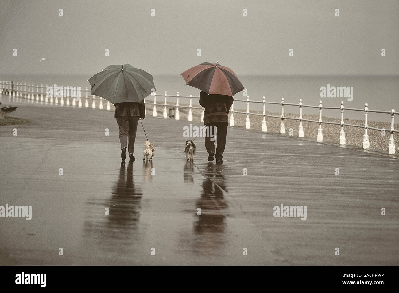 Les promeneurs de chiens sous la pluie. Promenade de Bexhill, East Sussex, England, UK Banque D'Images