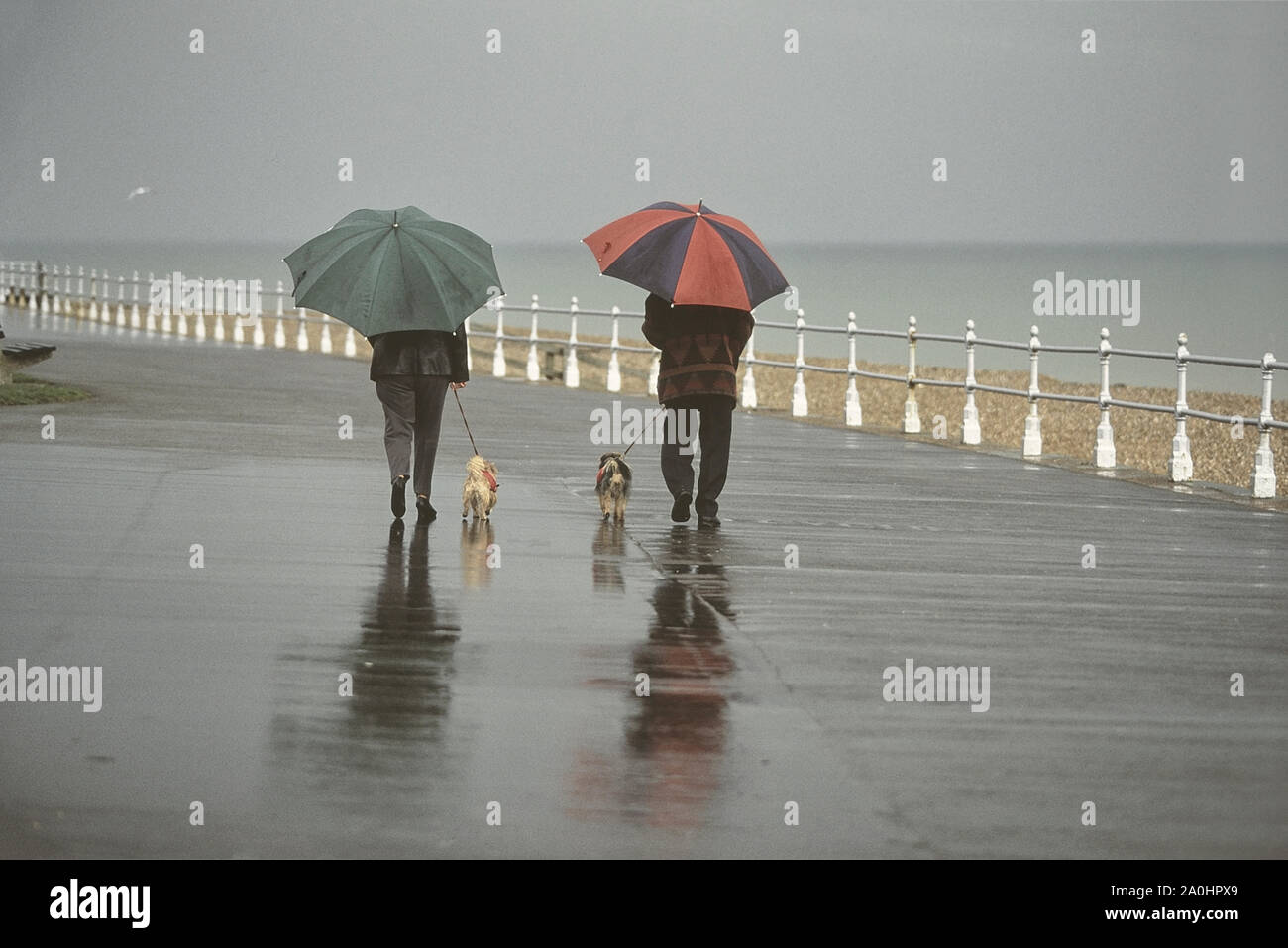 Les promeneurs de chiens sous la pluie. Promenade de Bexhill, East Sussex, England, UK Banque D'Images