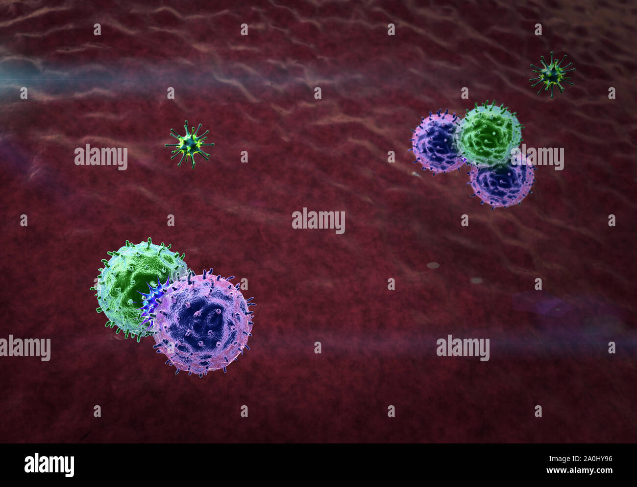 Macrophage tue l'virus, des macrophages en rendu 3D et de virus, à l'intérieur de corps humain, arrière-plan vidéo médicale, les virus dans le corps humain Banque D'Images