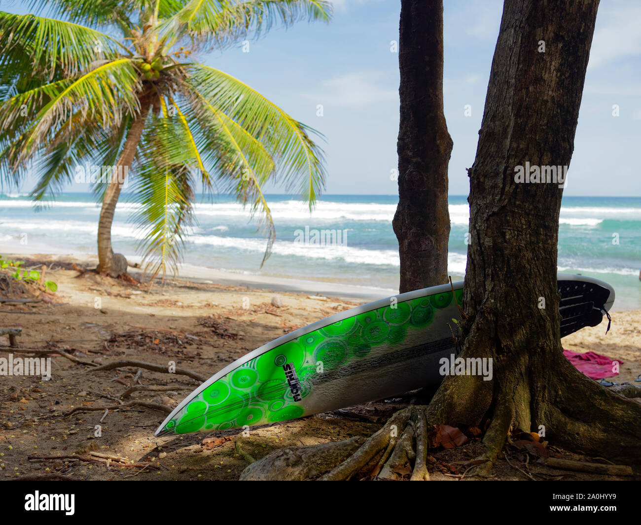 Un surf sur une belle plage de Tartane en Martinique. Banque D'Images