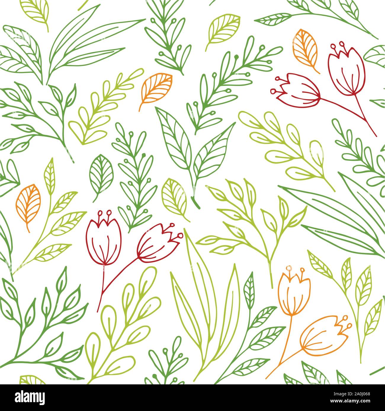 Transparente avec motif floral fleurs et plantes à la main Illustration de Vecteur