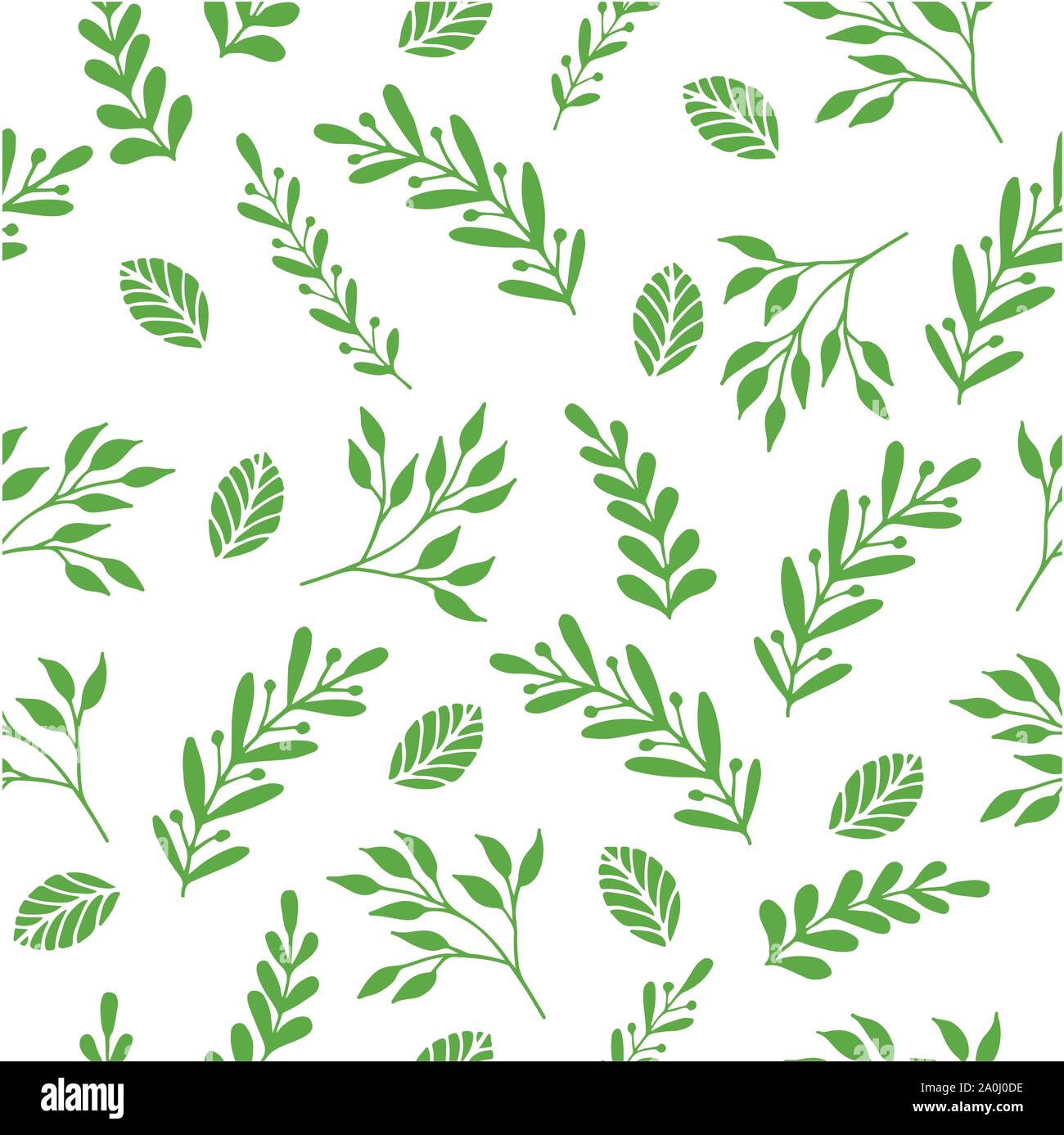 Transparente avec motif floral branches et feuilles Illustration de Vecteur