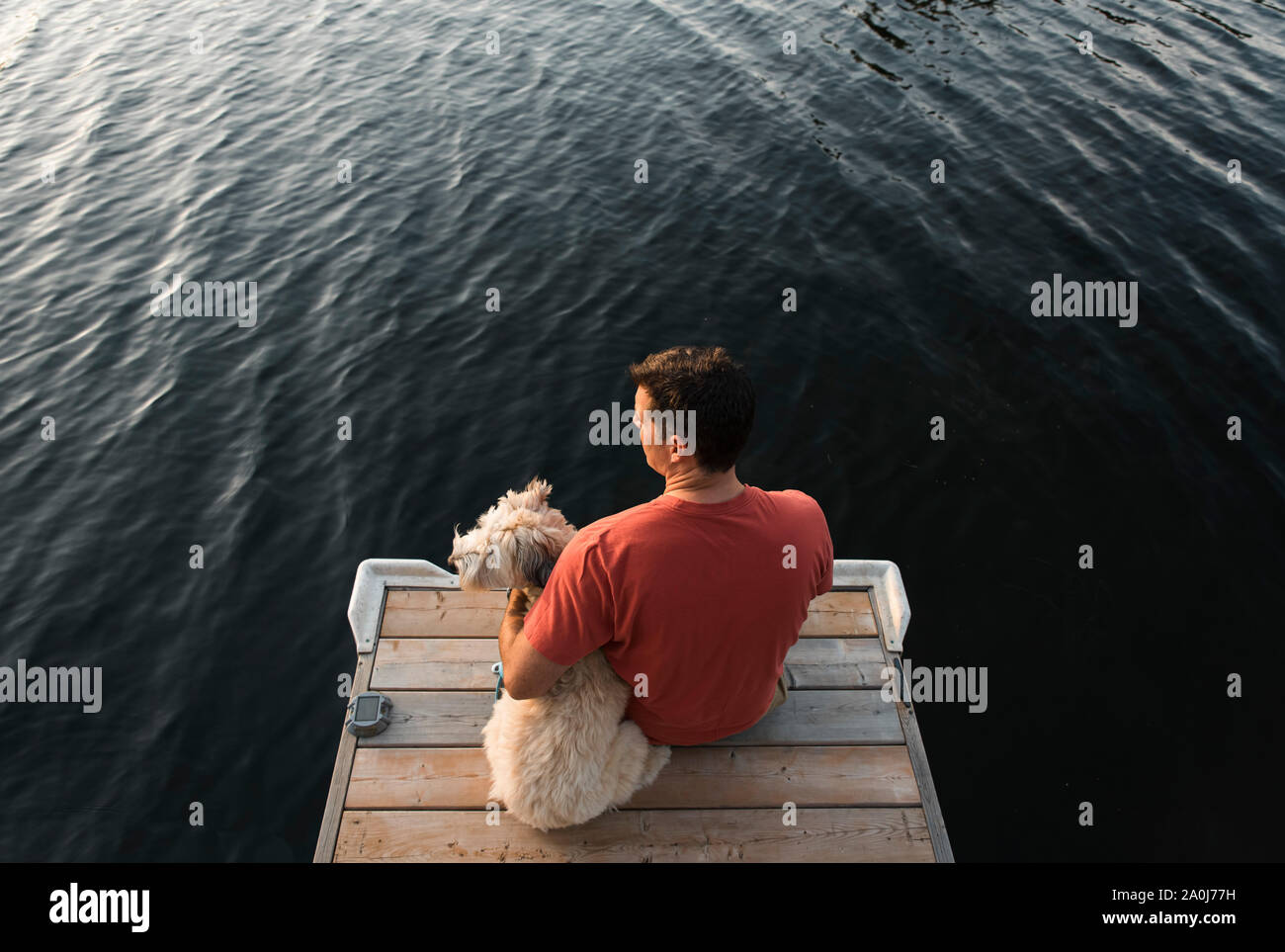 Vue de dessus d'un homme et son chien assis sur un quai sur un lac. Banque D'Images