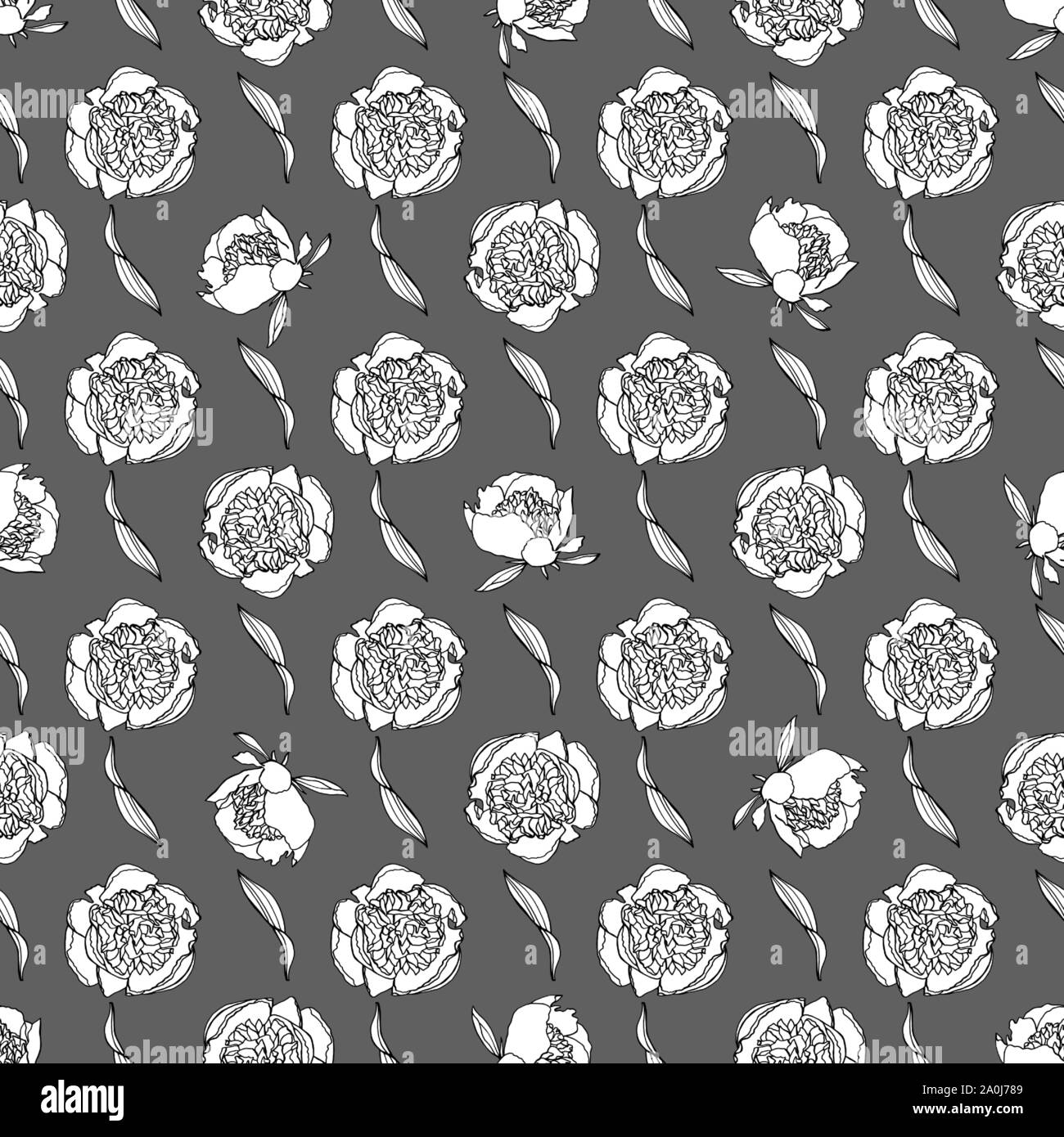 Modèle transparent avec fleurs de pivoine, nature floral background Illustration de Vecteur
