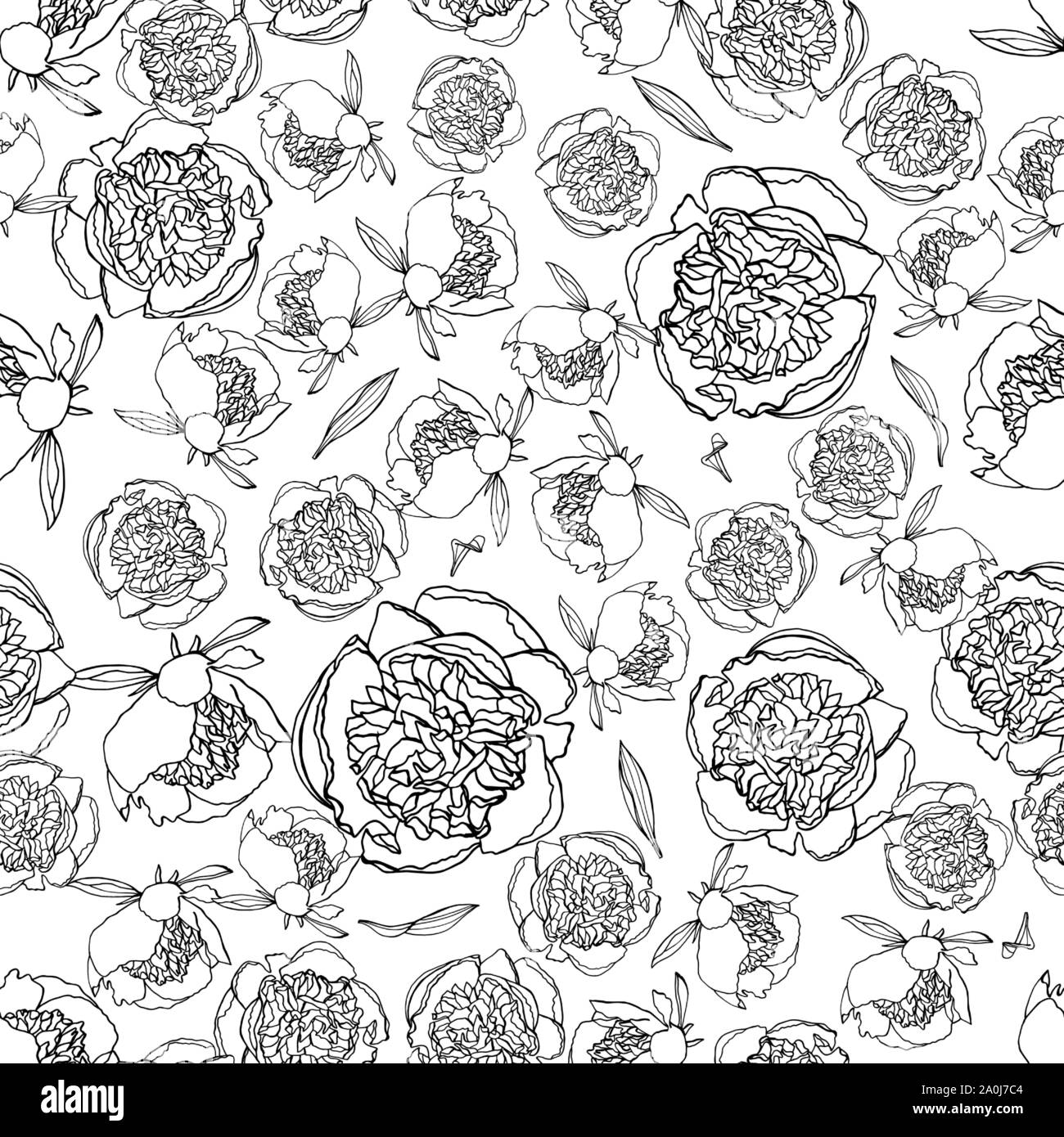Modèle transparent avec fleurs de pivoine, nature floral background Illustration de Vecteur
