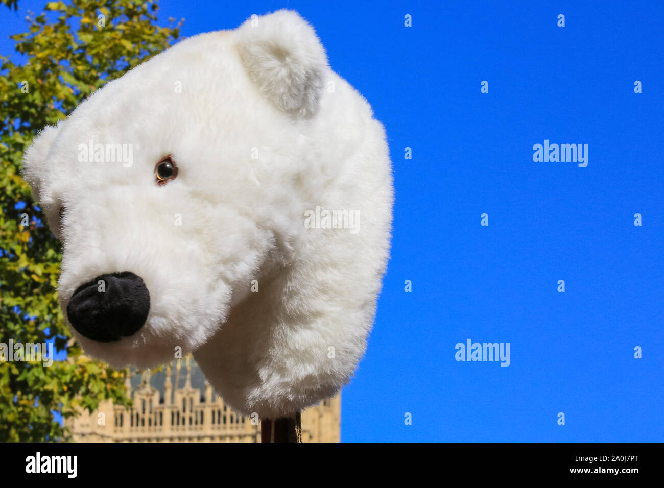 Westminster, London, UK, 20 Sep 2019. Des dizaines de milliers d'enfants, jeunes et adultes protester pour l'action climatique et contre les causes du changement climatique dans la capitale britannique. Bon nombre d'autres manifestations ont lieu dans les villes à travers le monde en une journée mondiale de l'action pour le climat dans un événement déclenché par le militant jeune Greta Thunberg qui participe à la grève du climat mondial à New York. Credit : Imageplotter/Alamy Live News Banque D'Images